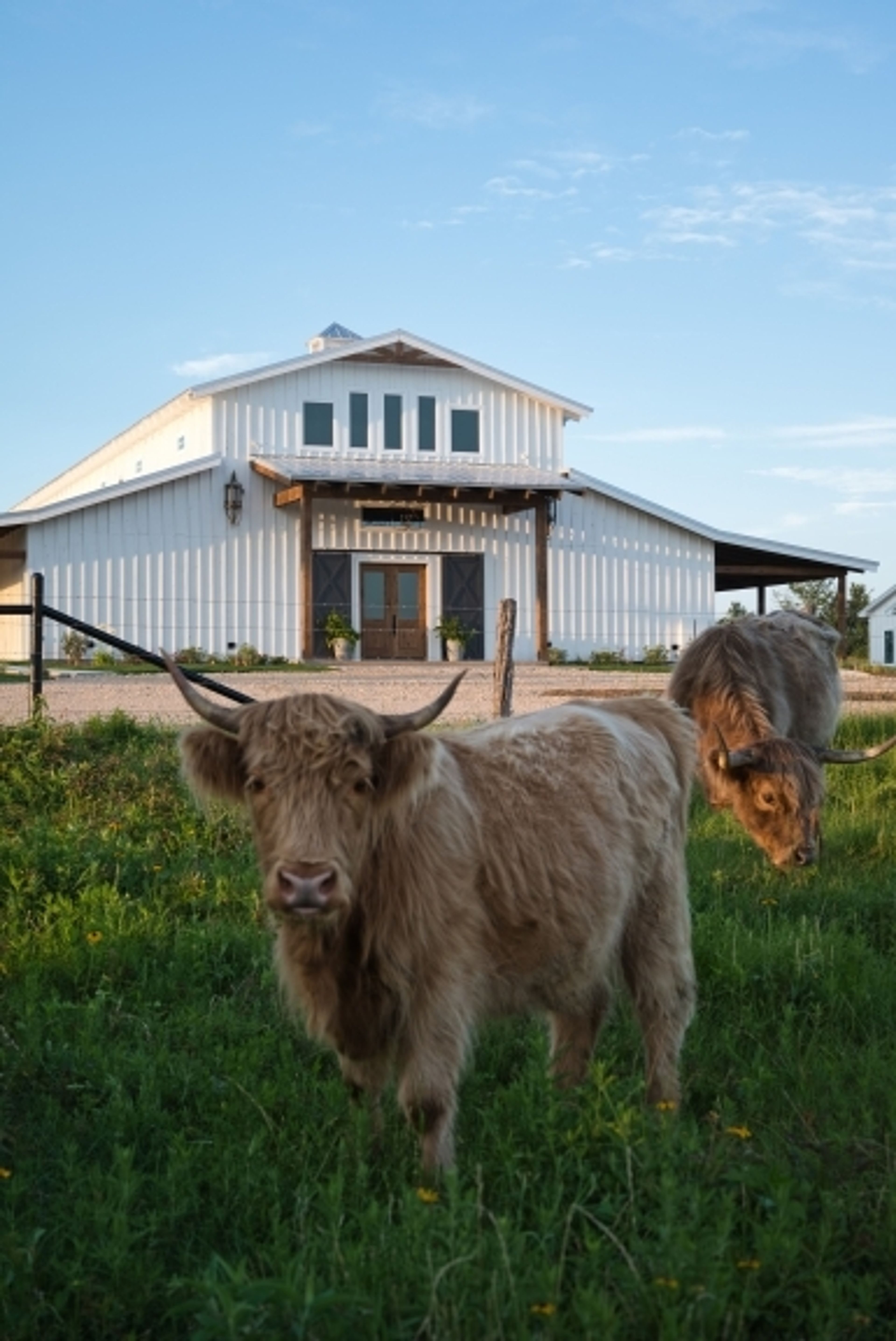 Cover photo of Hummingbird Hill