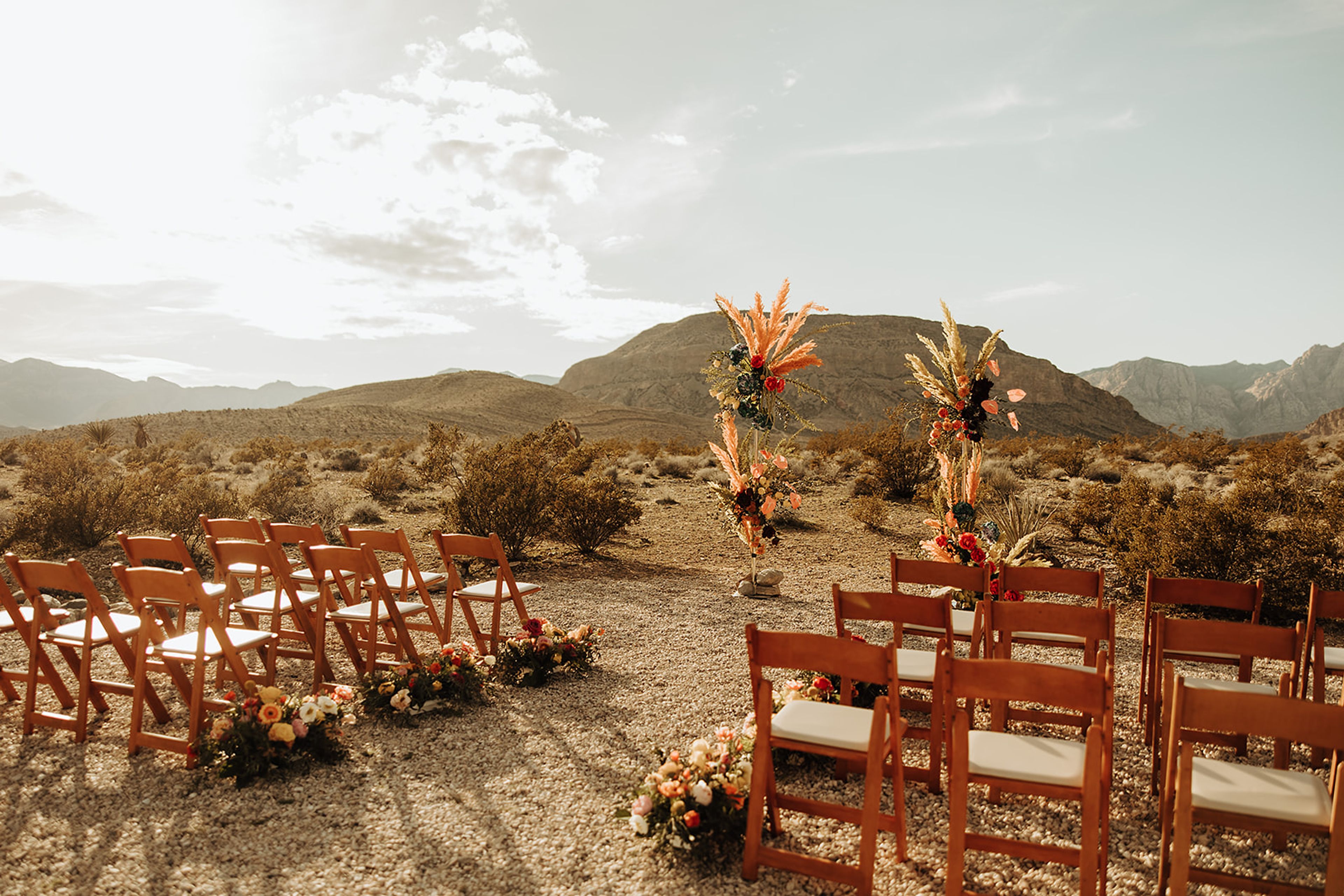 Cover photo of Cactus Joe's Blue Diamond Nursery