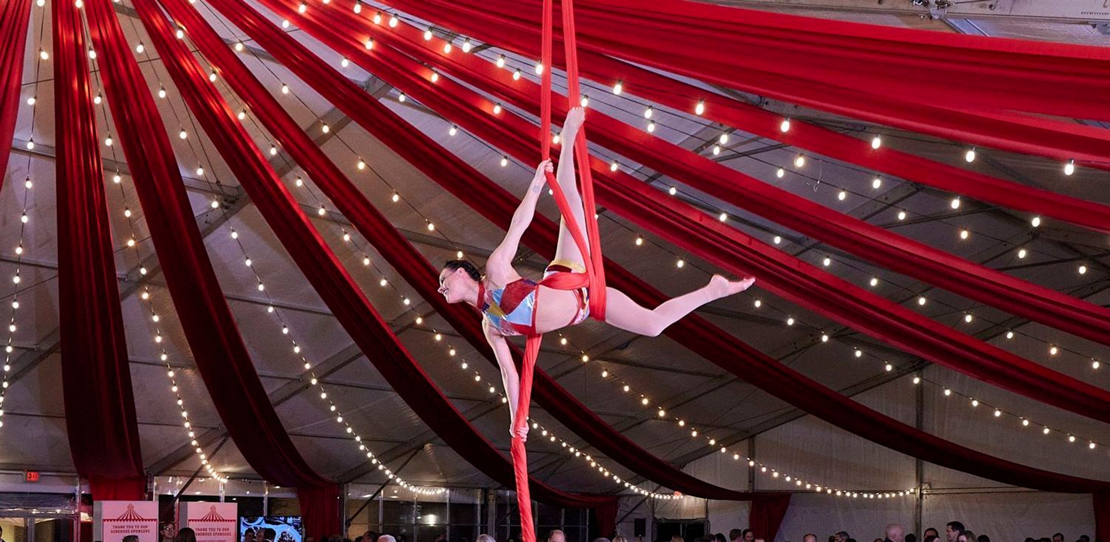 Cover photo of The Ramazinis Entertainment