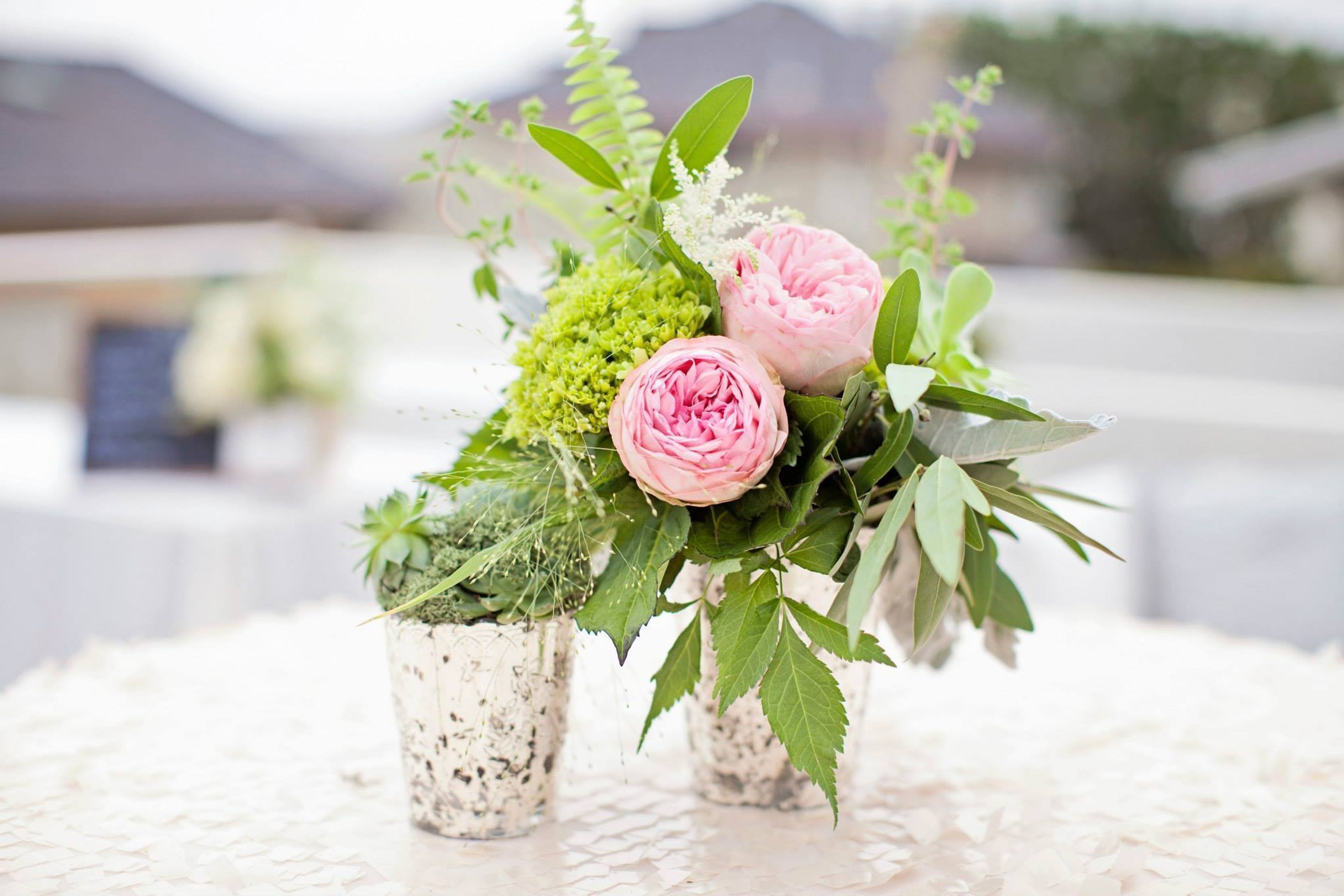 Cover photo of Urban Gardener