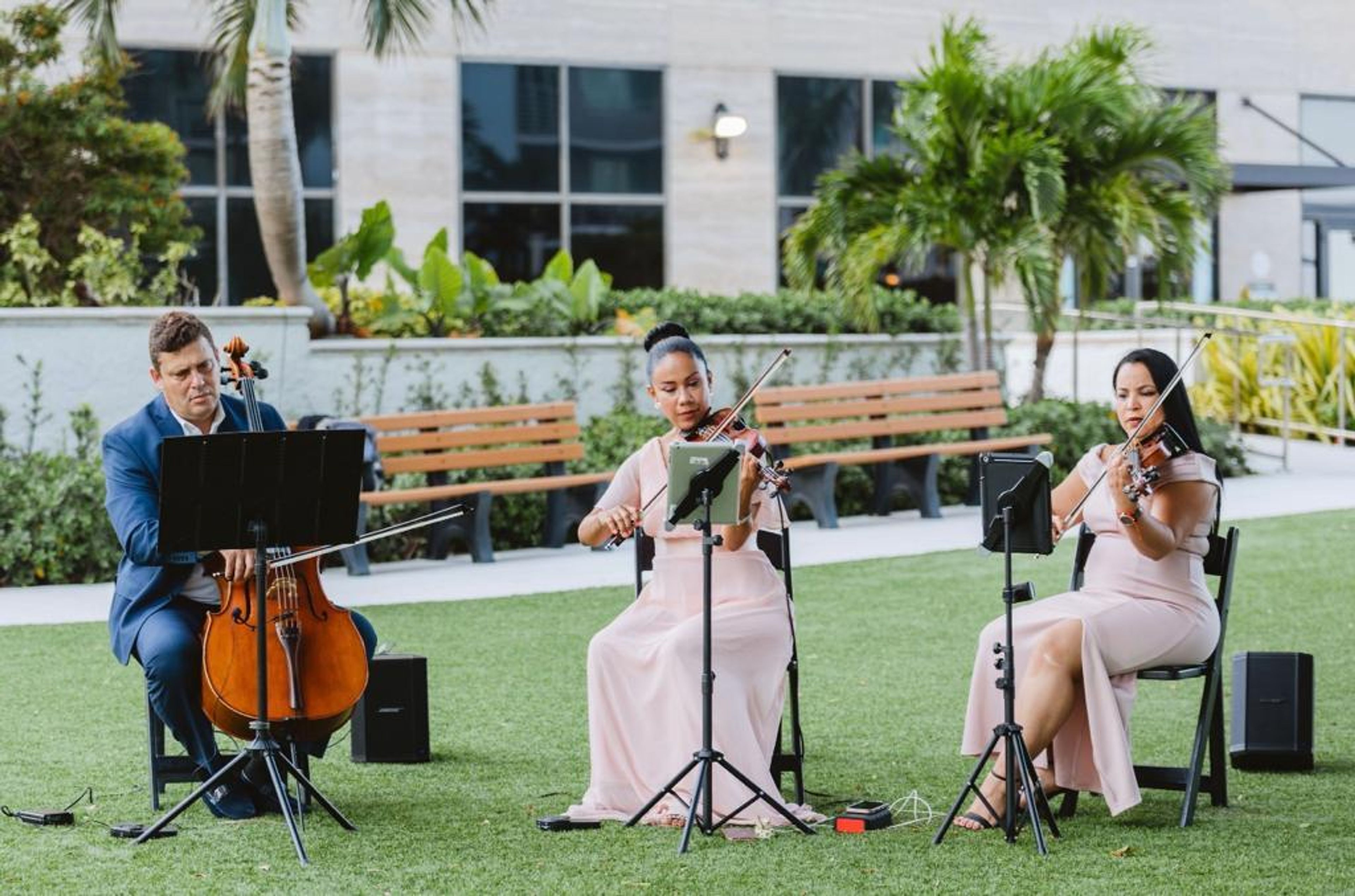 Cover photo of Amadeus Enterprises