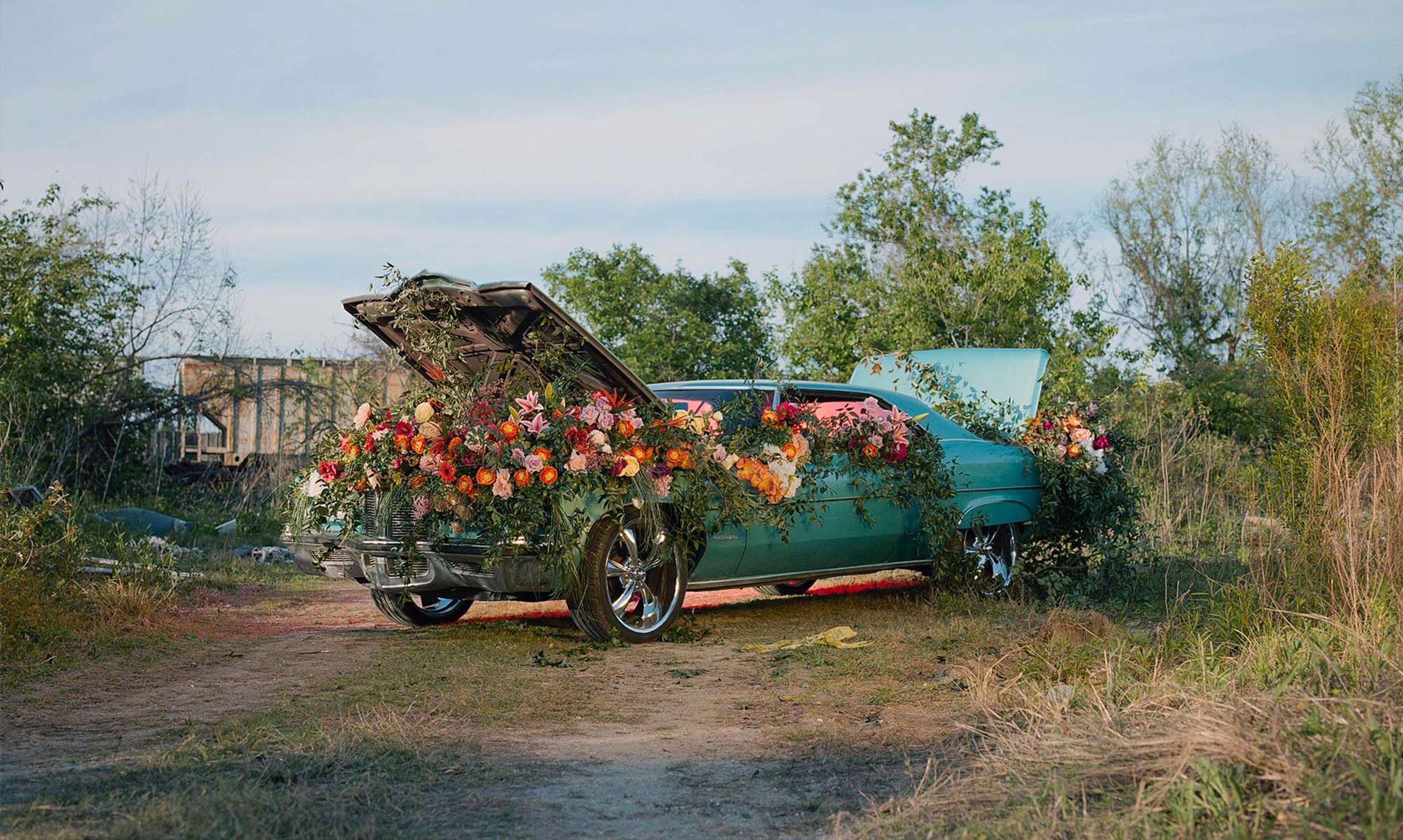 Cover photo of Hand & Rose