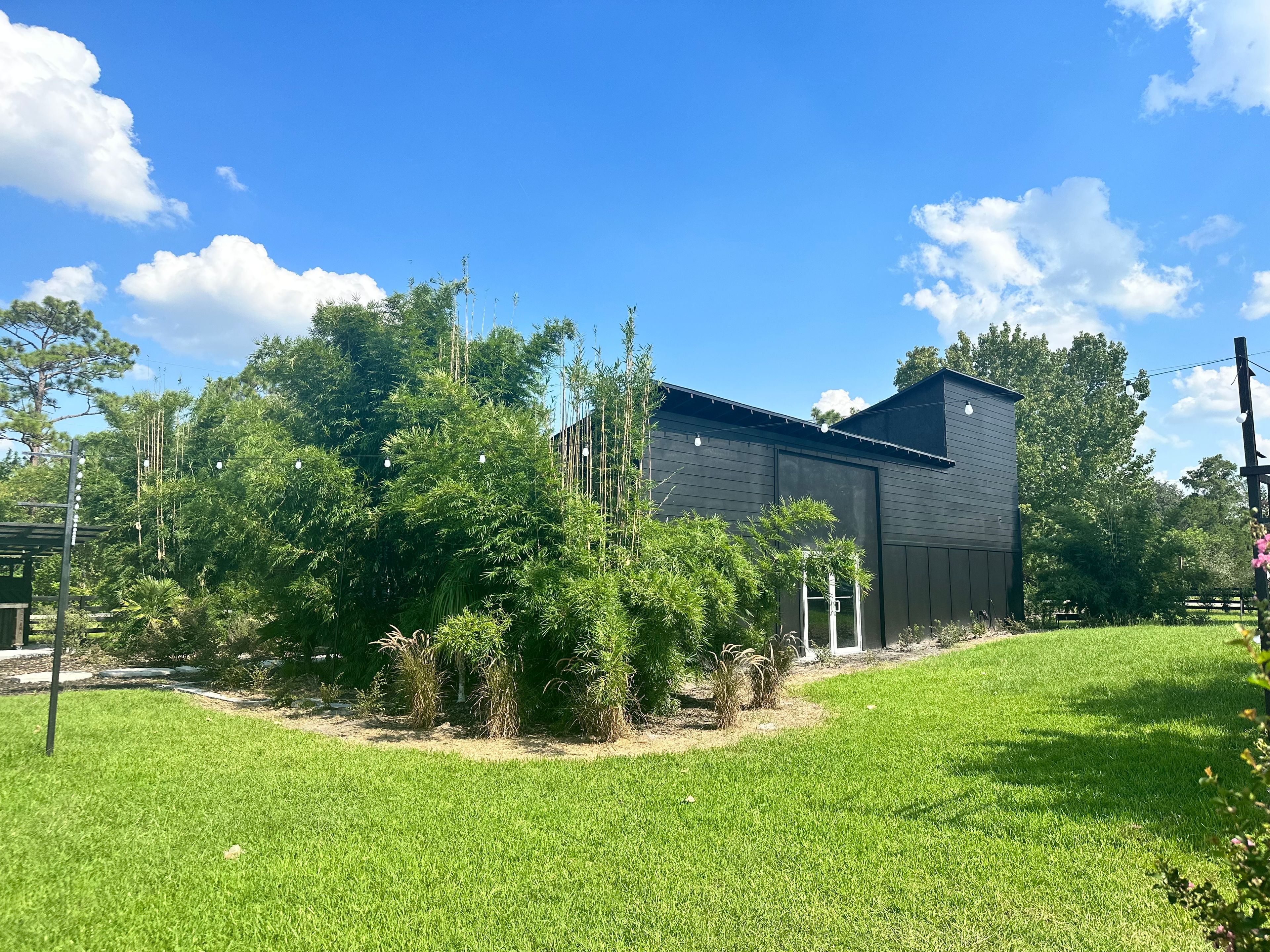 Cover photo of Wanderlust Okto