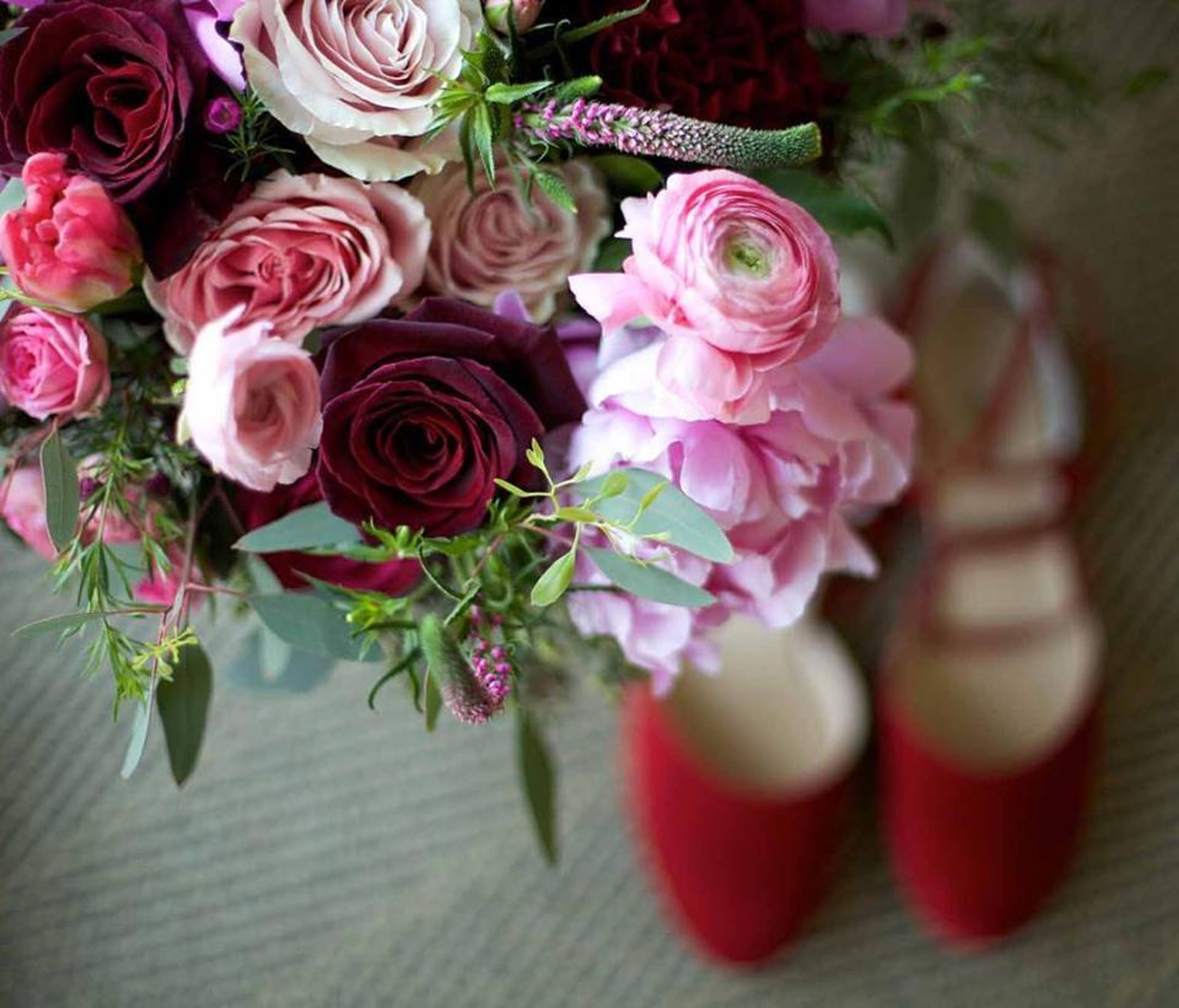 Cover photo of Flora Nova Design