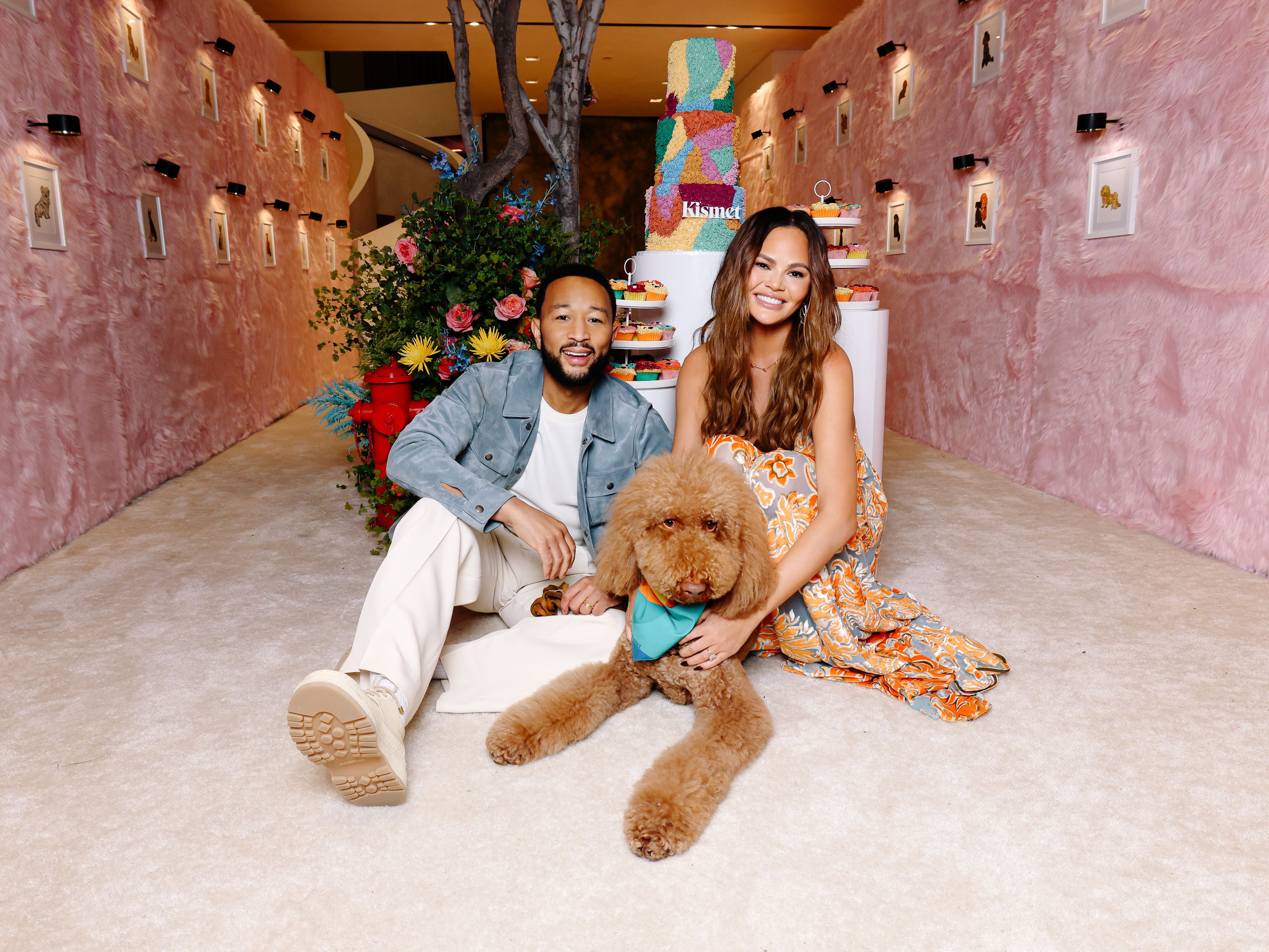 Cover photo of Wife of the Party