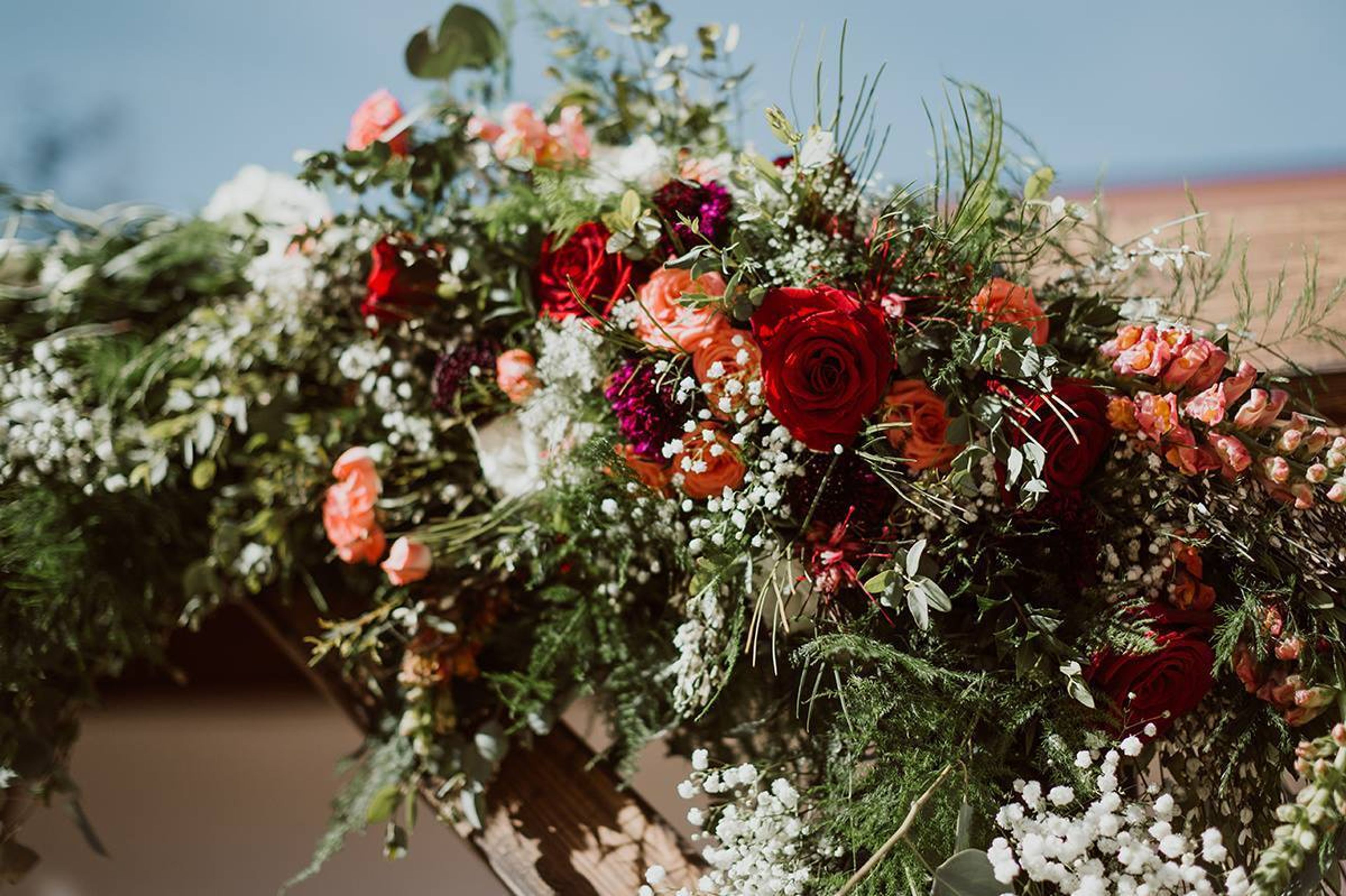 Cover photo of Fleur And Stems