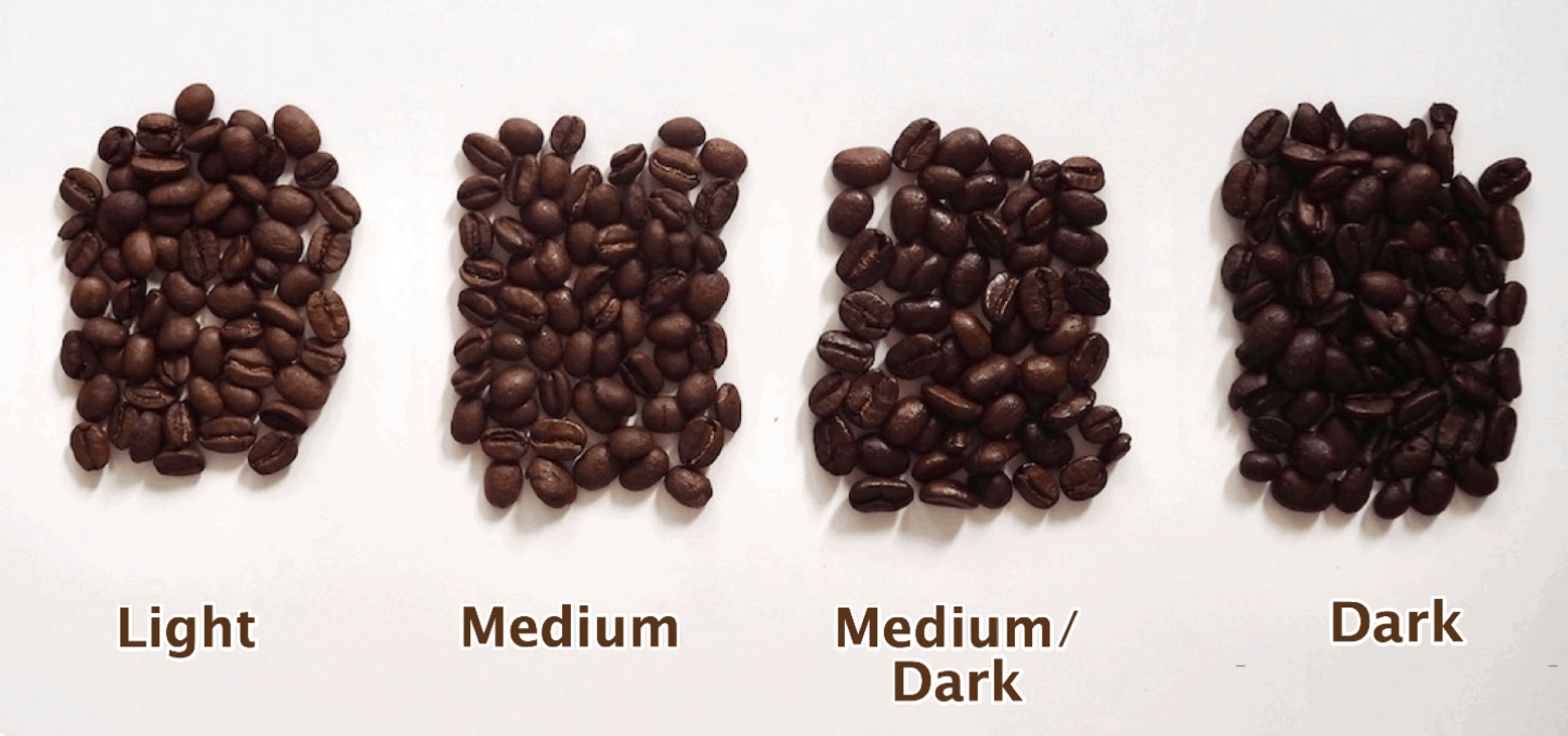 Cover photo of Electric Coffee Lab LLC