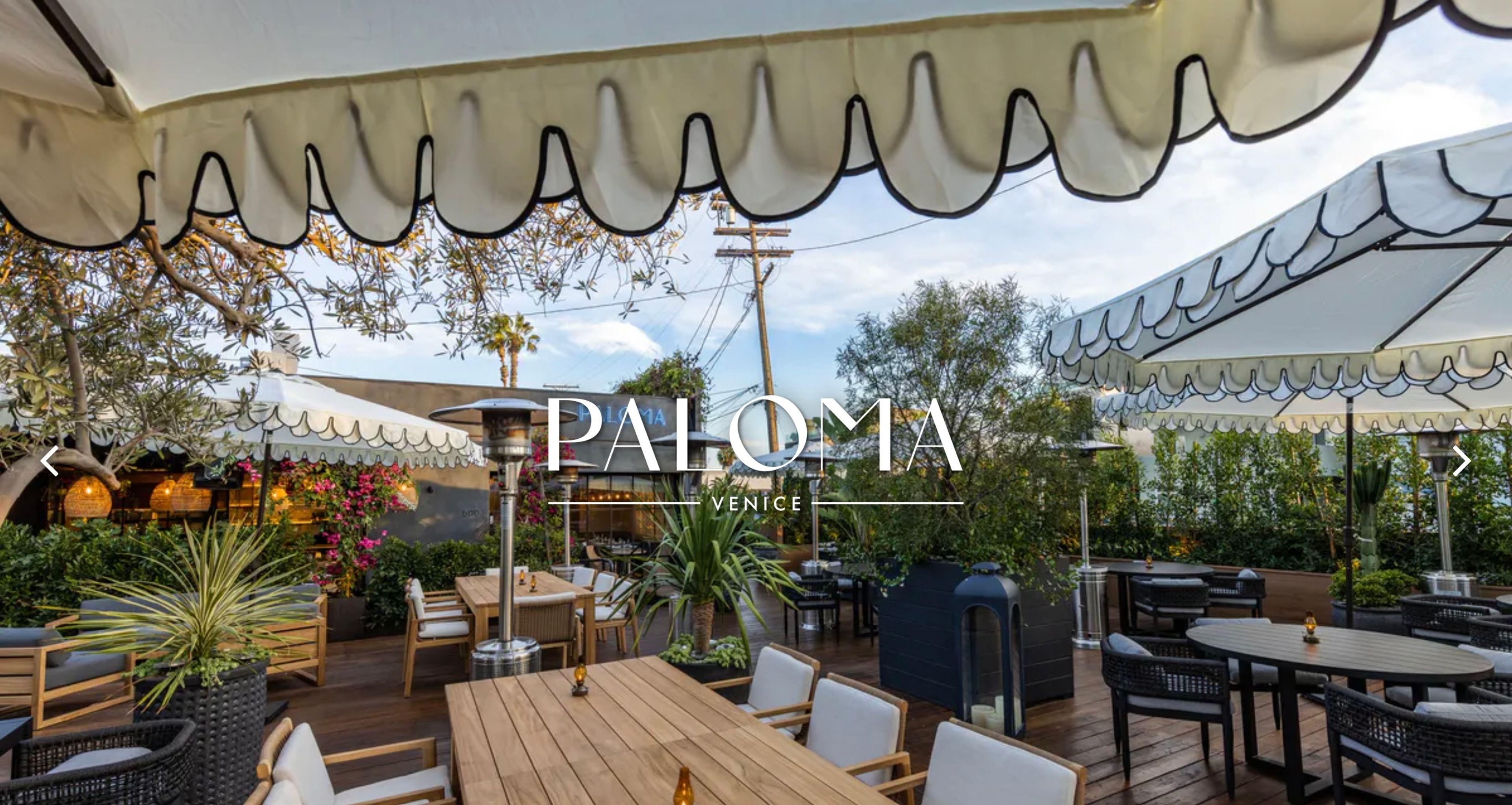 Cover photo of Paloma Venice