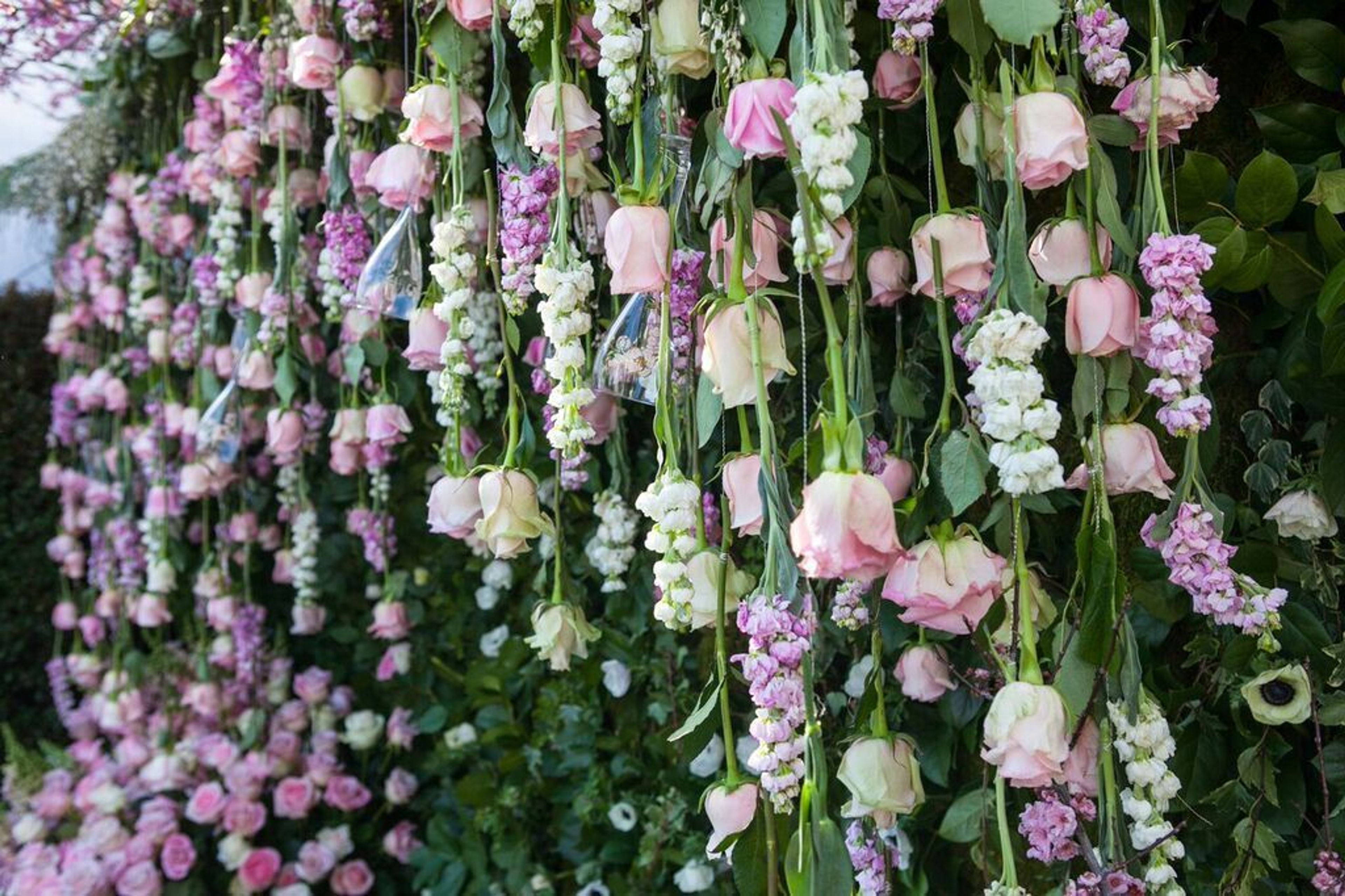 Cover photo of Grand Éclair