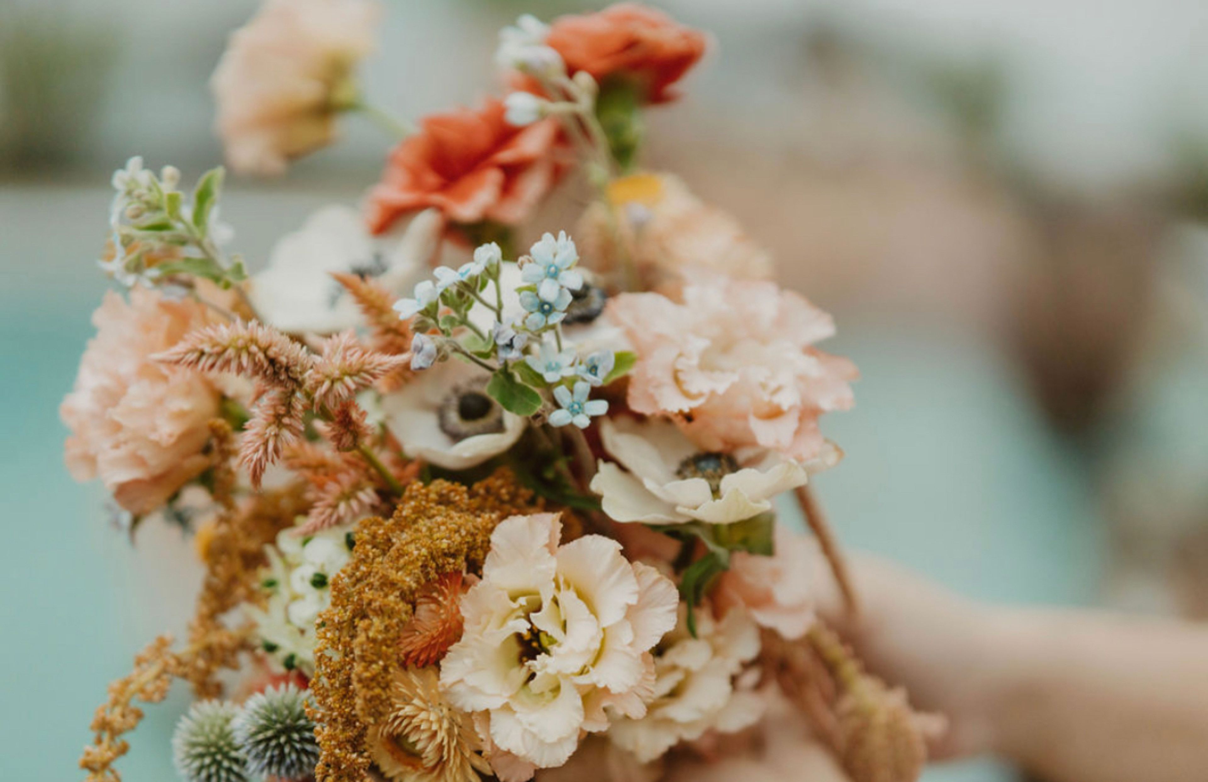 Cover photo of Massa Planning & Design