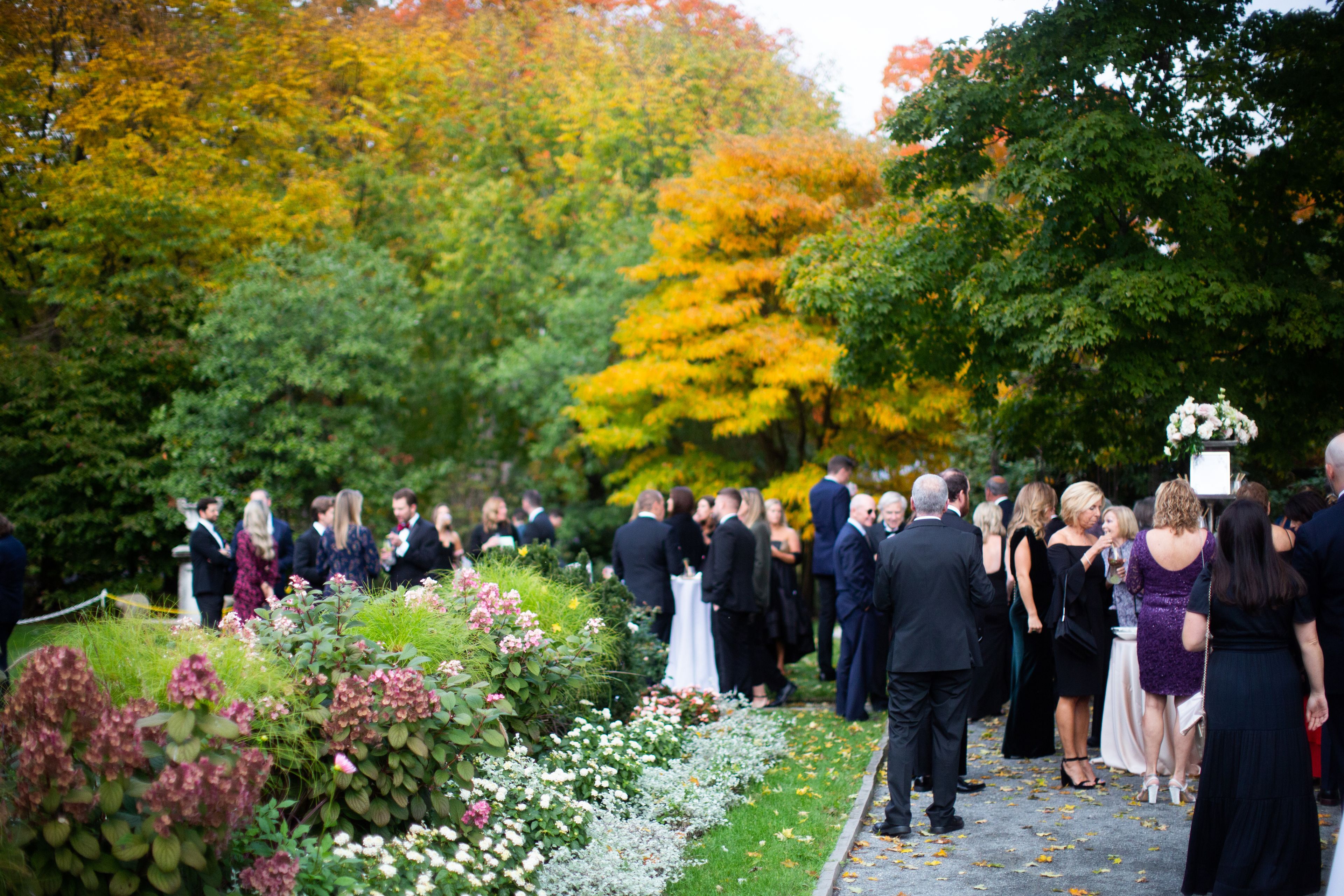 Cover photo of The Garden at Elm Bank