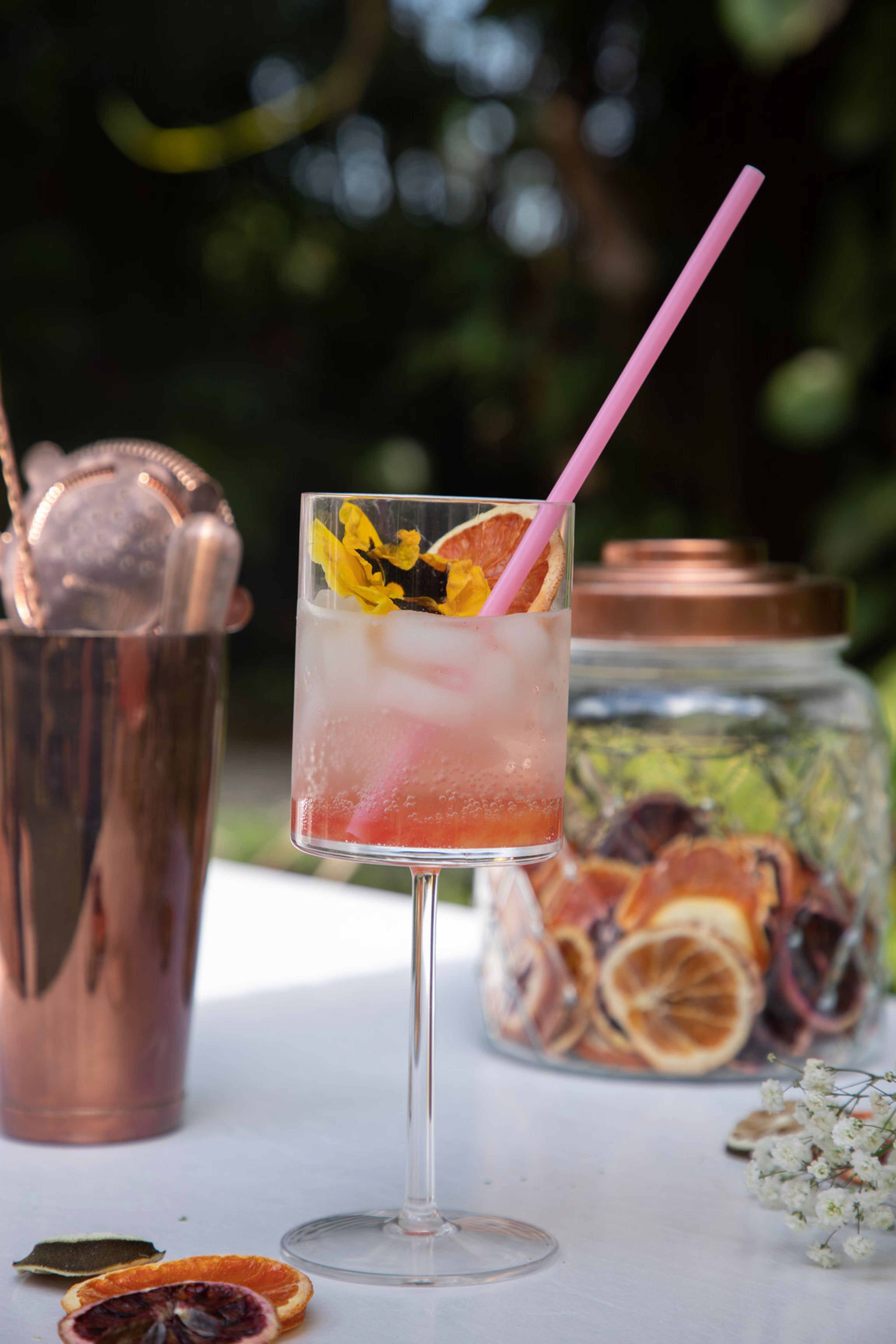 Cover photo of The Bubbly Mobile