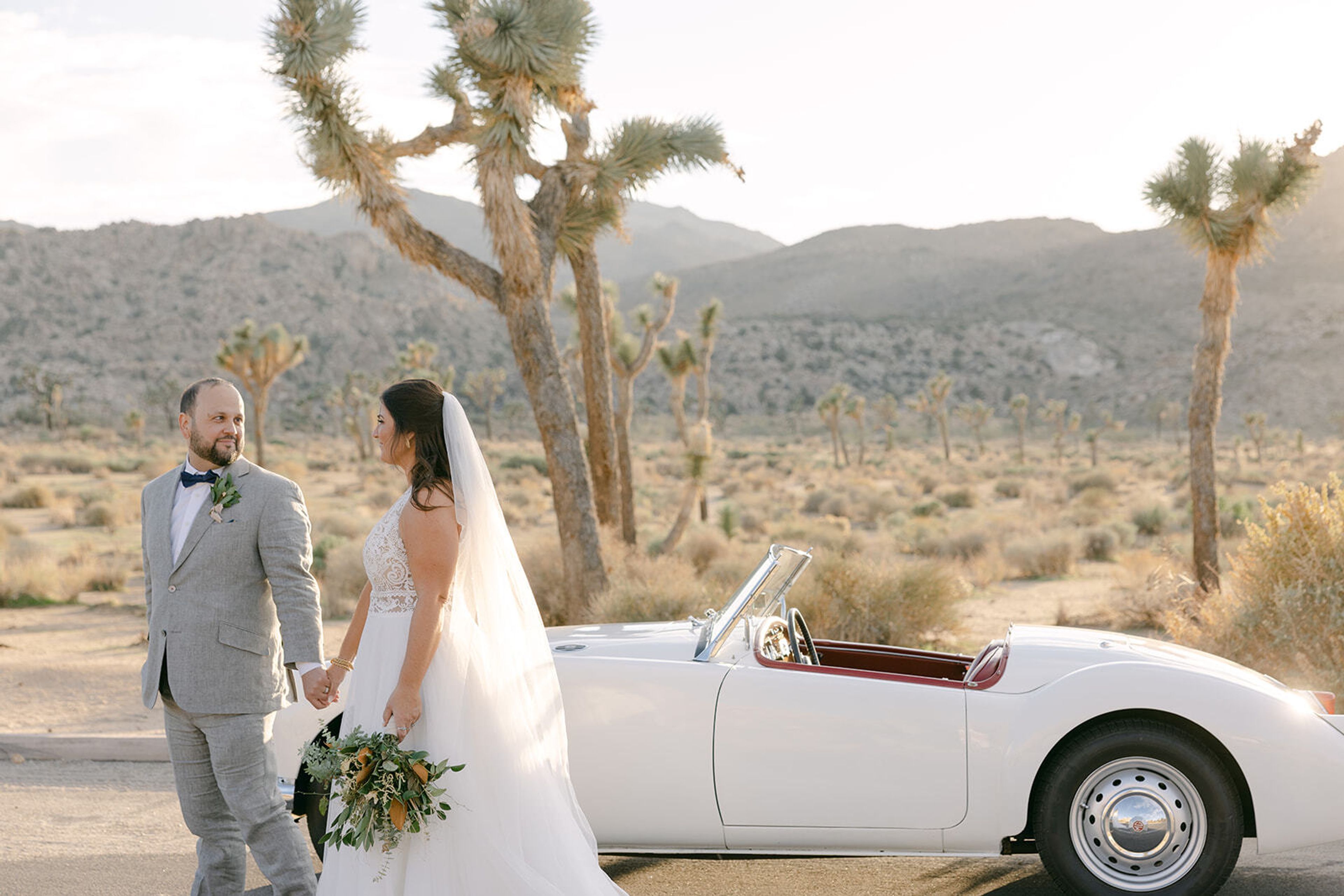 Cover photo of Terra Coast Events