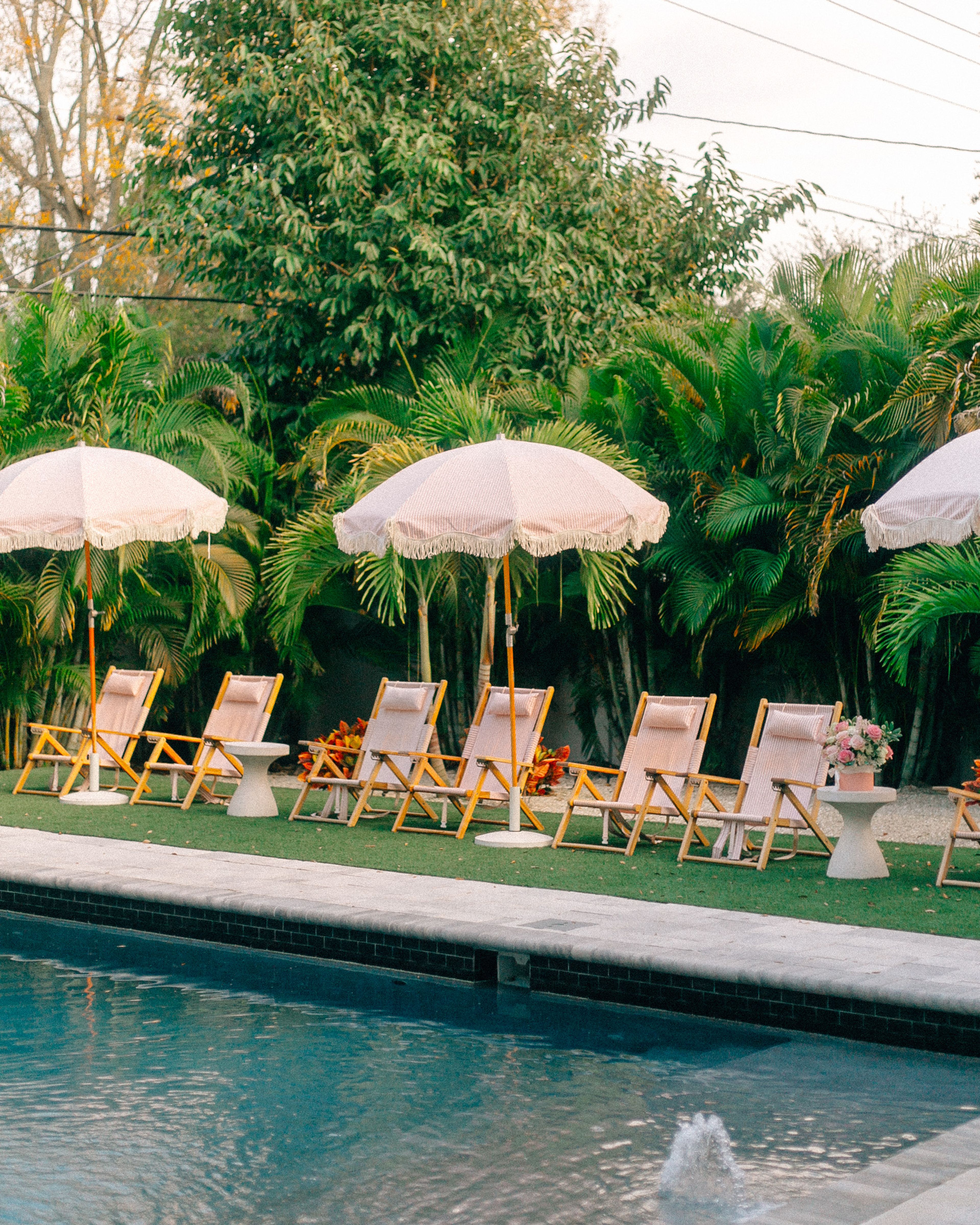 Cover photo of Social Revelry