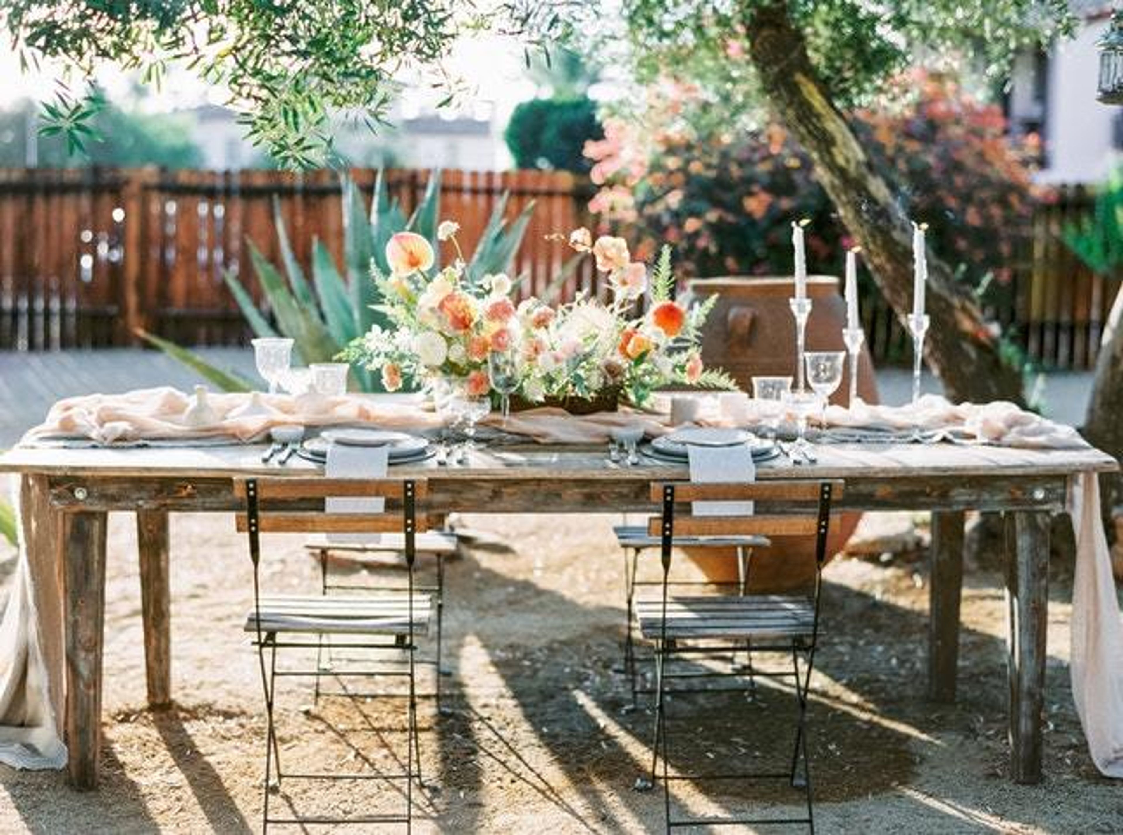 Cover photo of Chloe + Mint