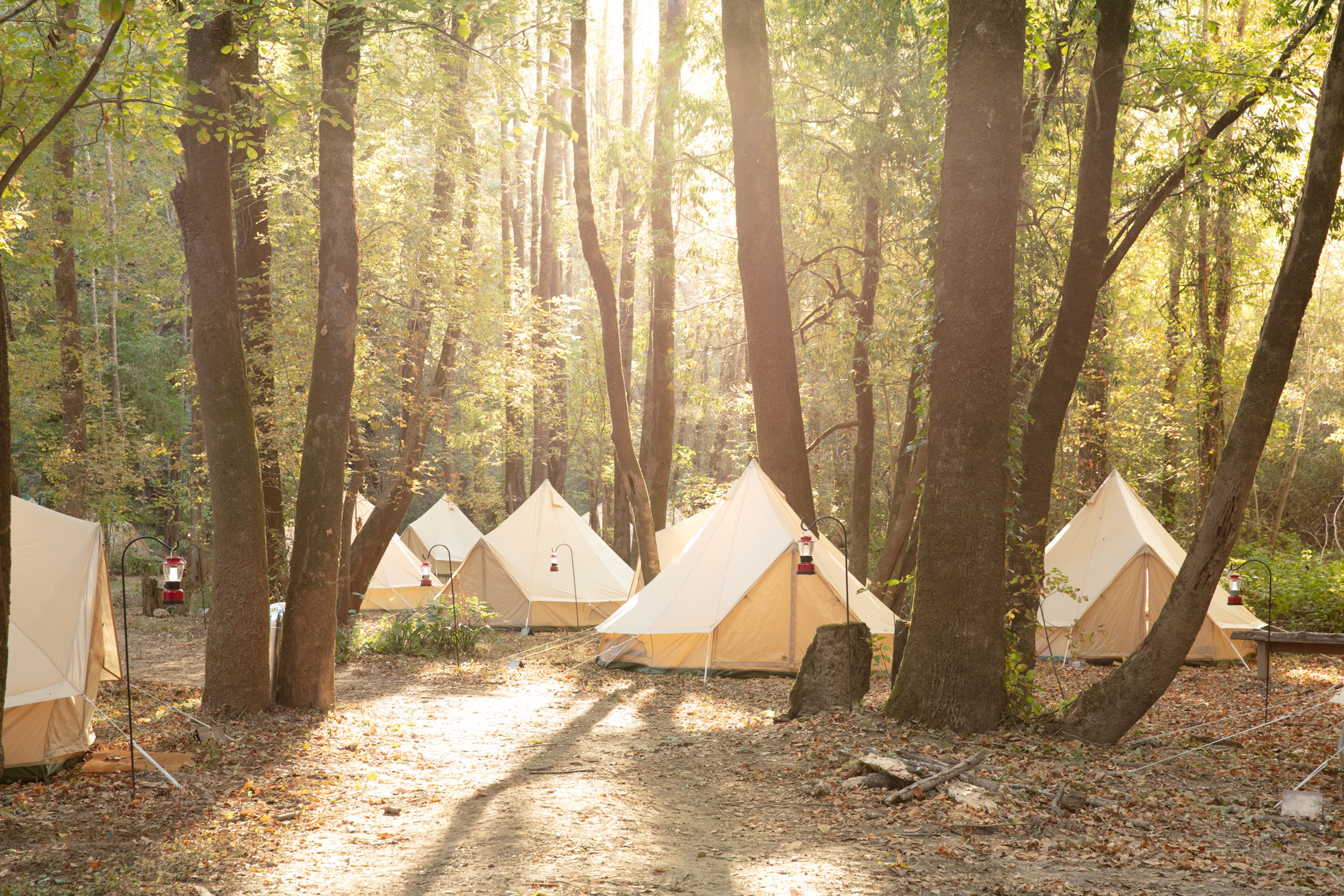 Cover photo of Shelter Co.