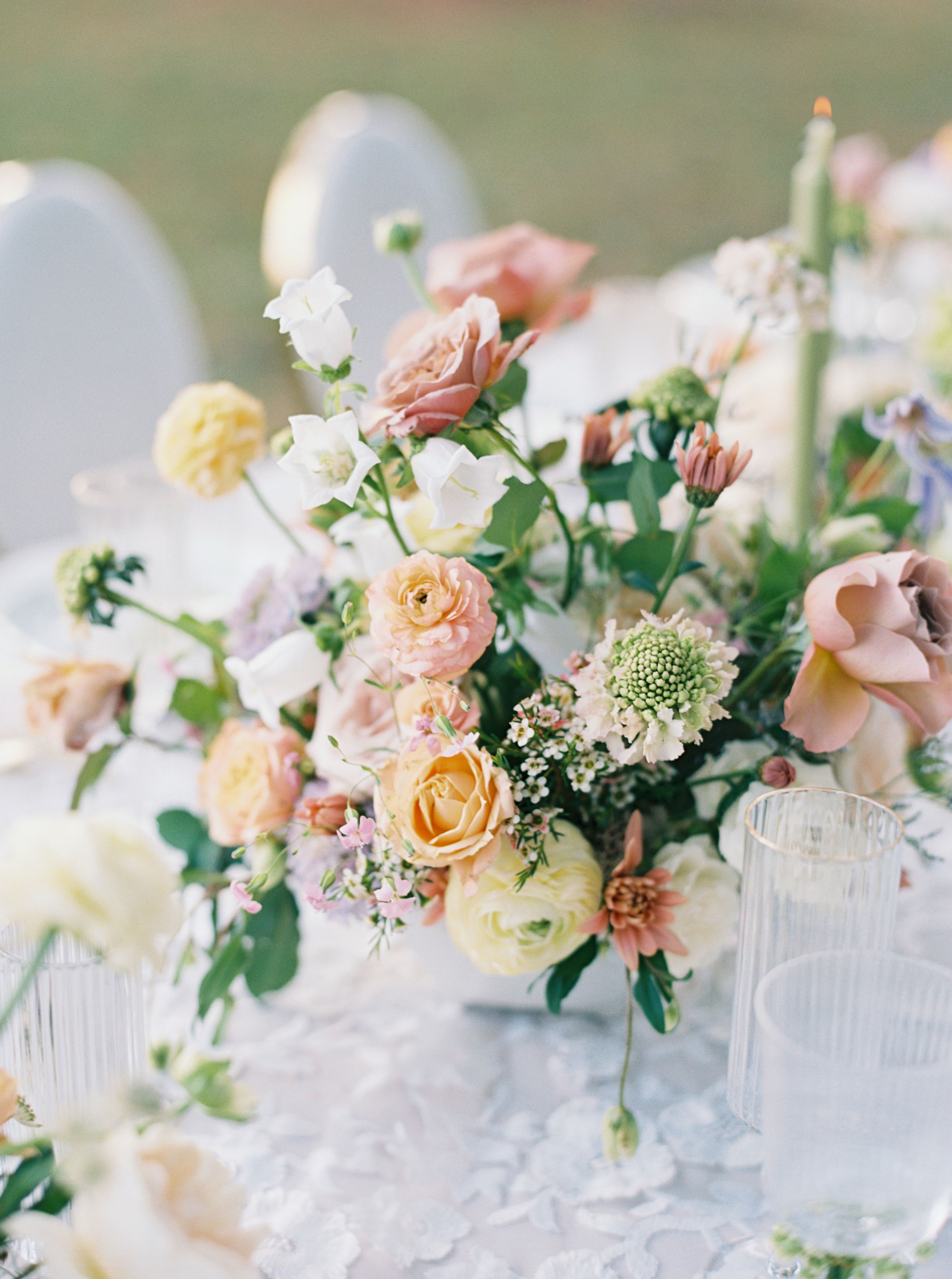 Cover photo of Bianca Tang