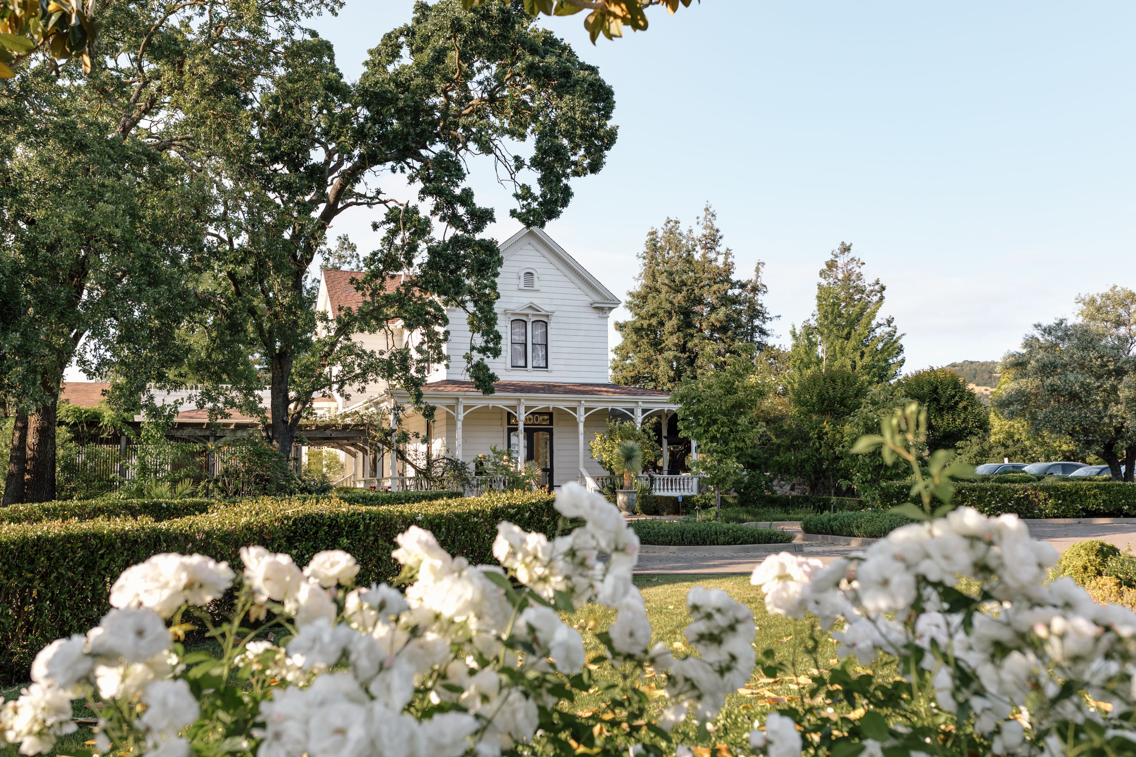 Cover photo of The Generals Daughter