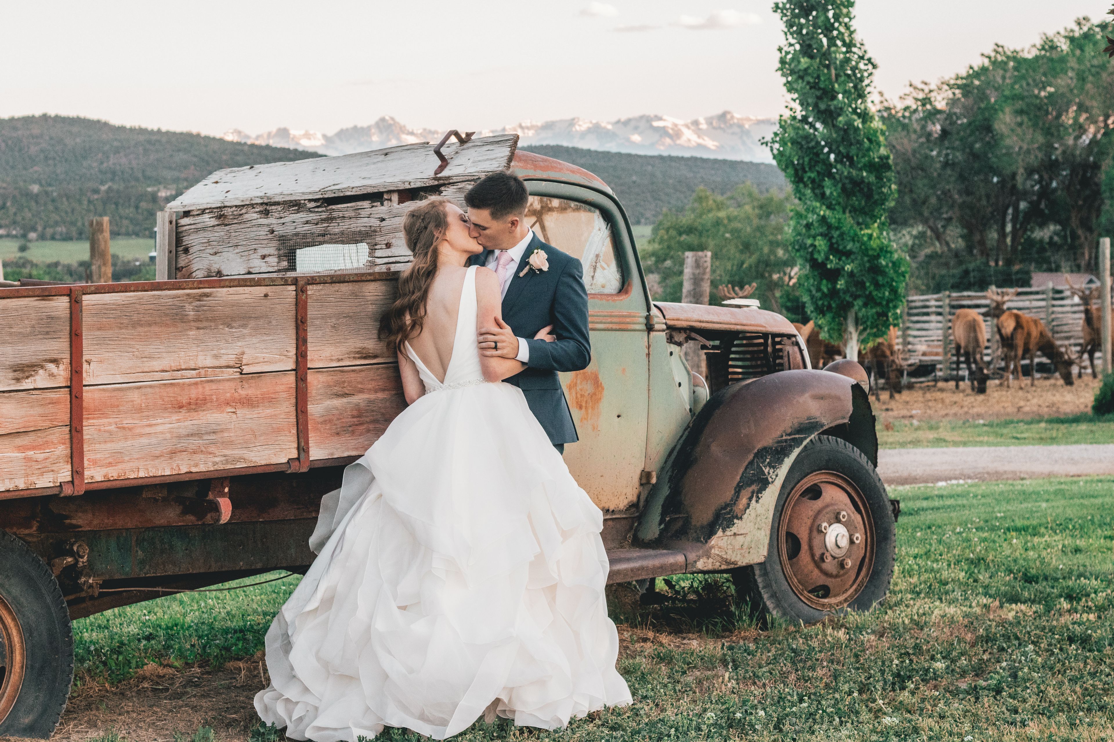 Cover photo of Wild Poppy Events, LLC