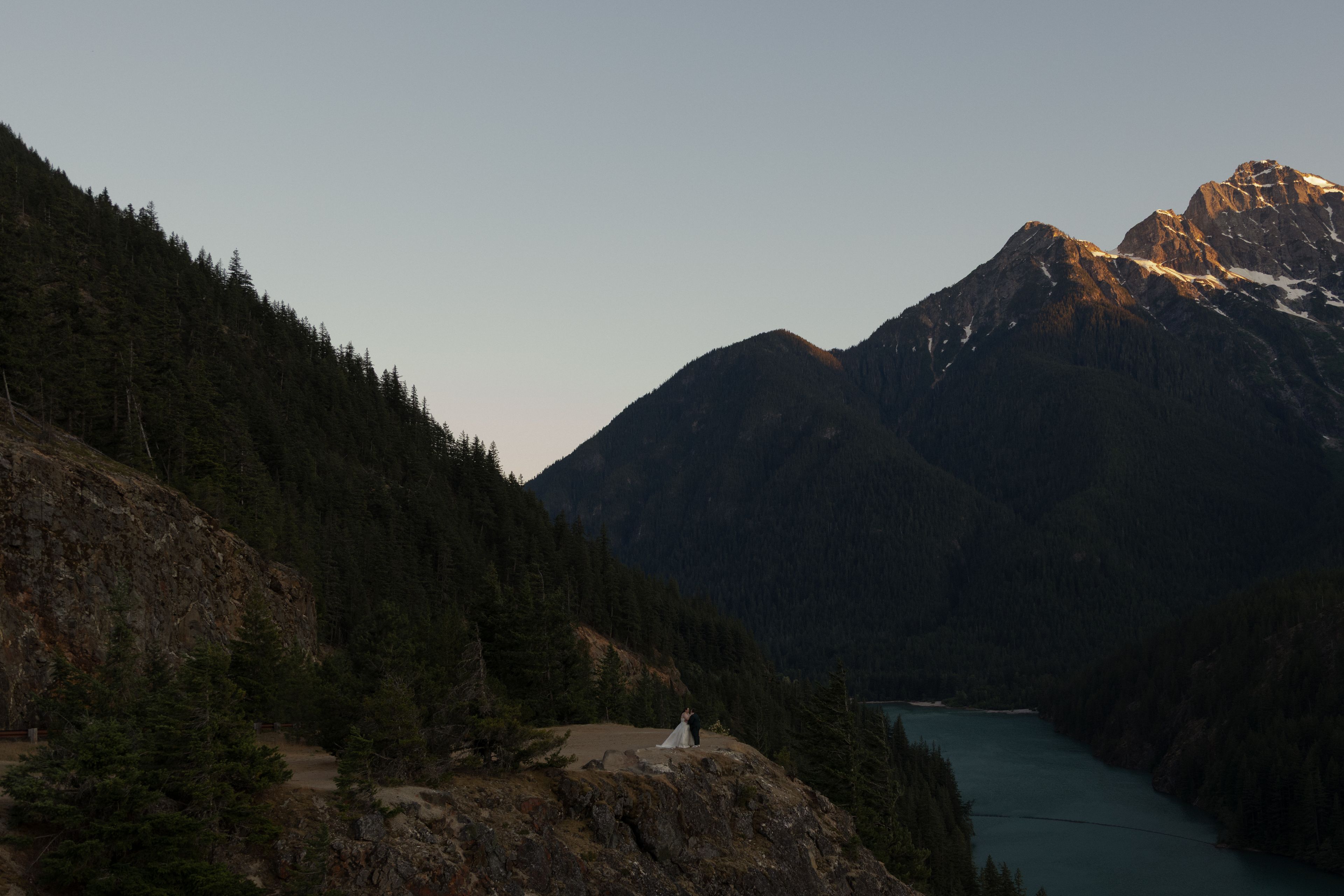 Cover photo of Noelle Thies Co.