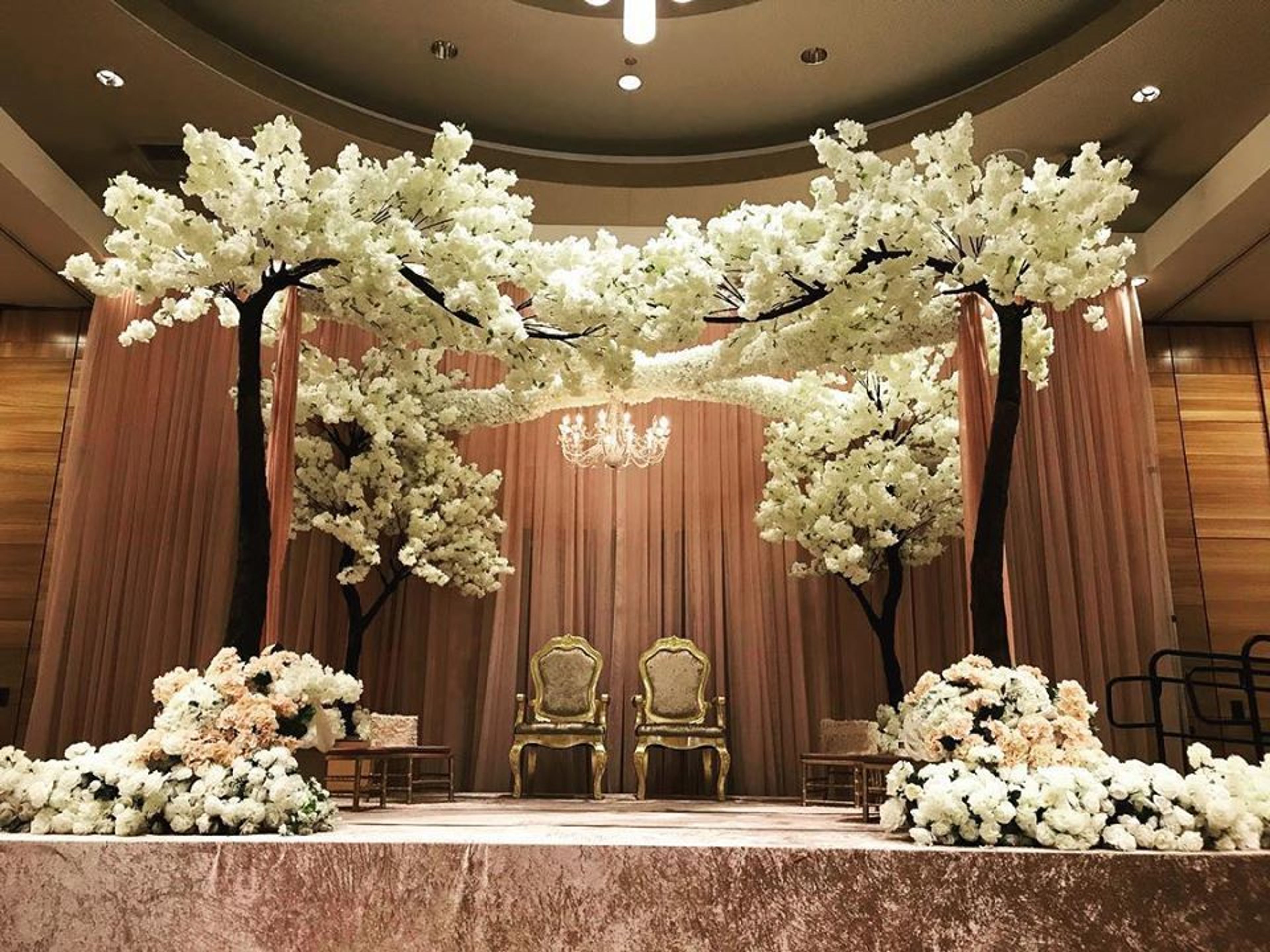 Cover photo of Hyatt Olive 8