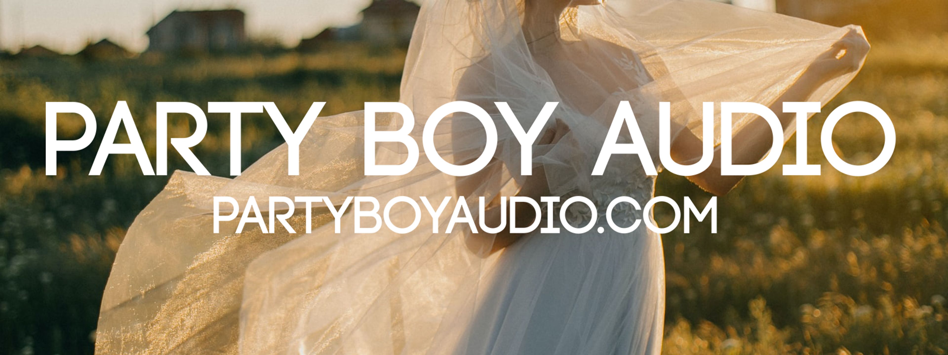 Cover photo of Party Boy Audio