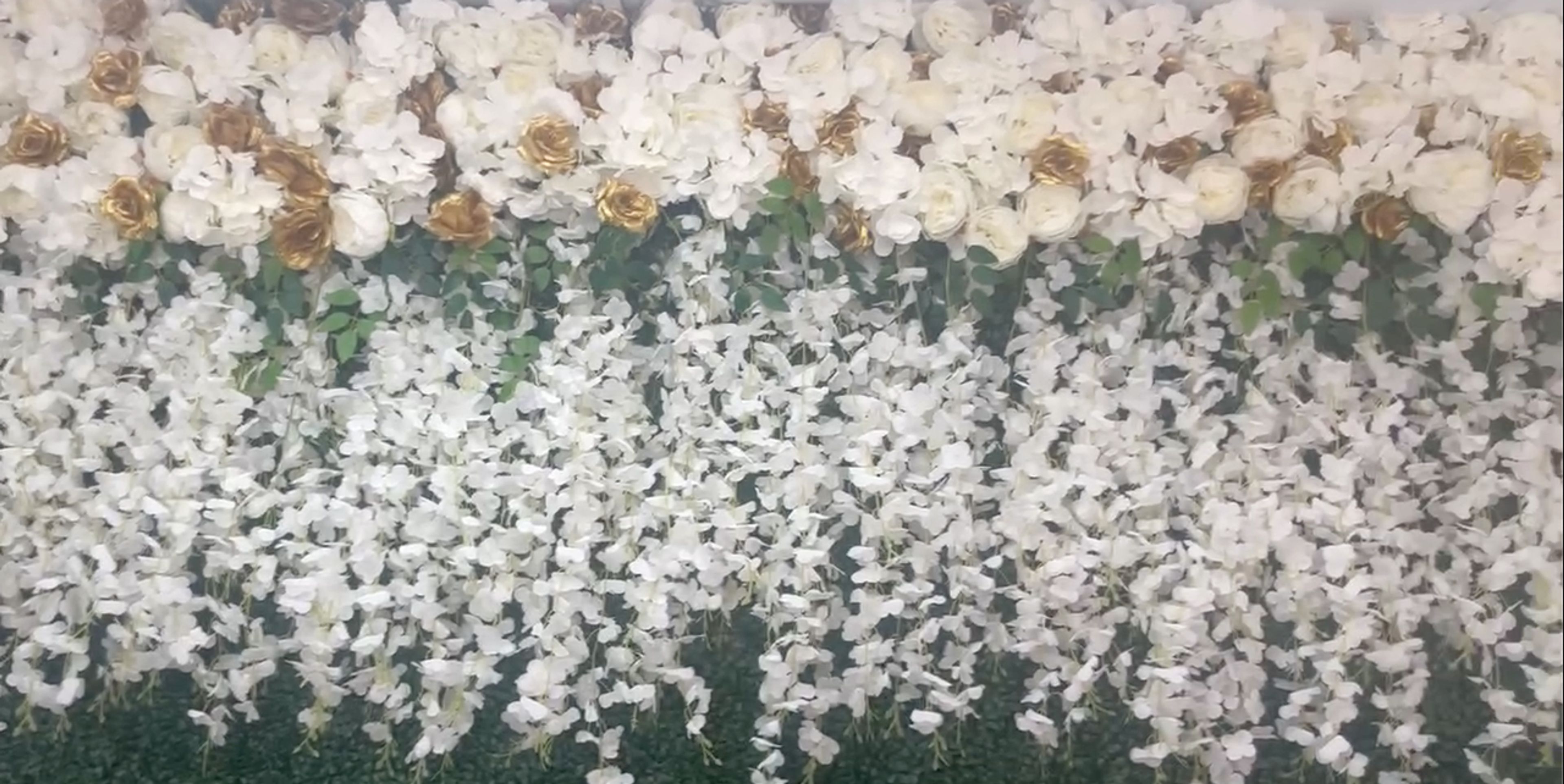 Cover photo of The Golden Garden