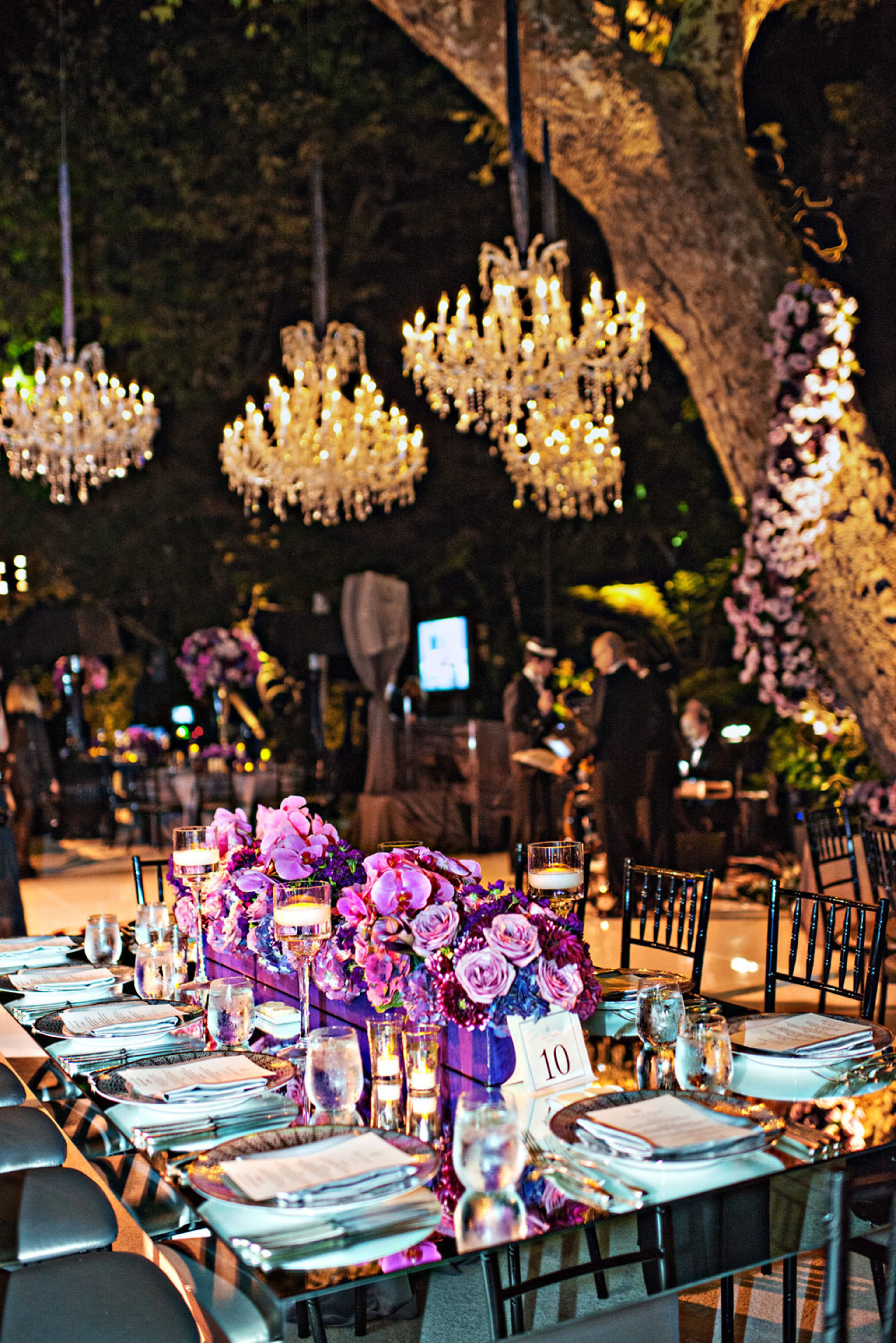 Cover photo of Tikal Design