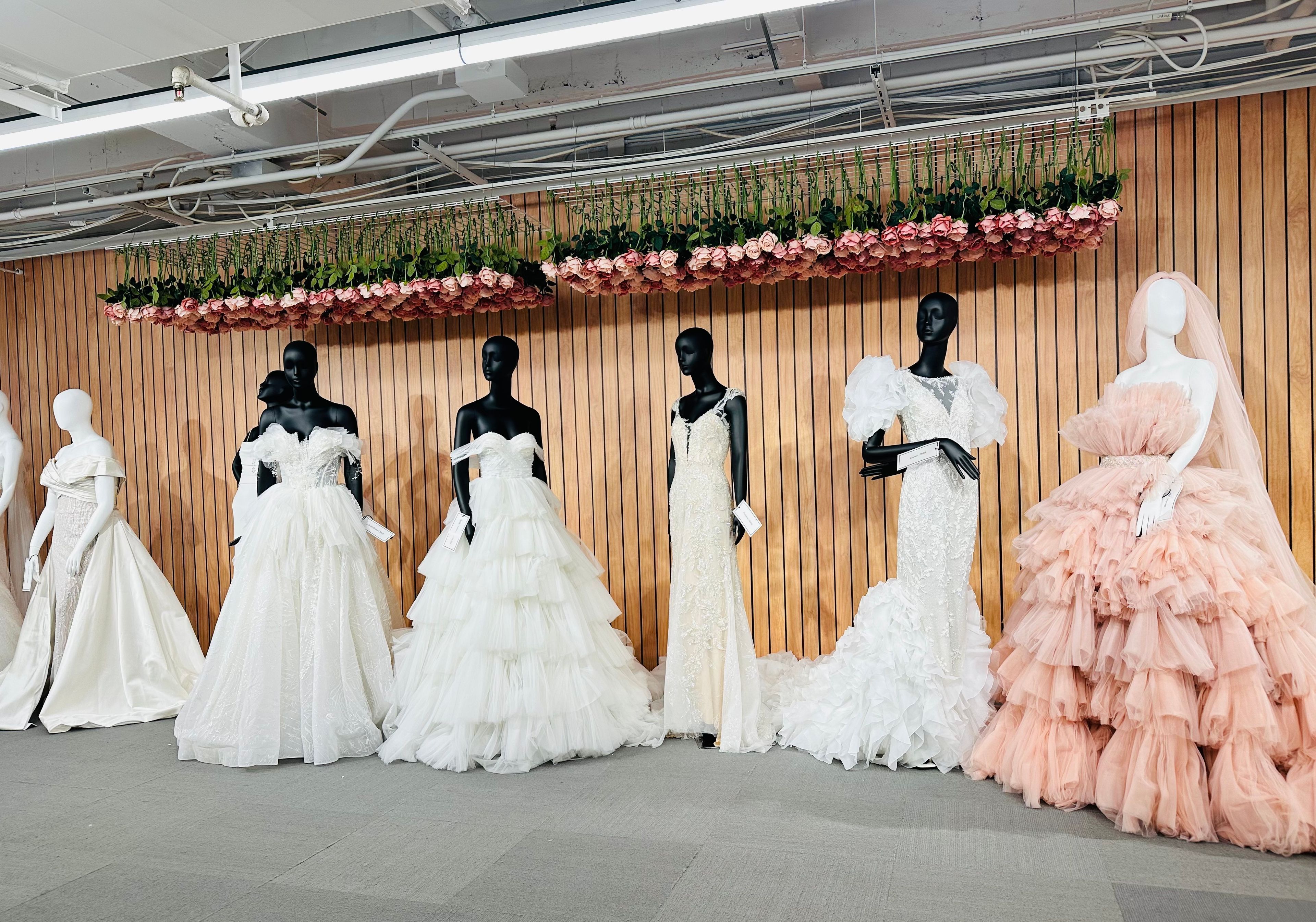 Cover photo of Amanda Wolfson Productions