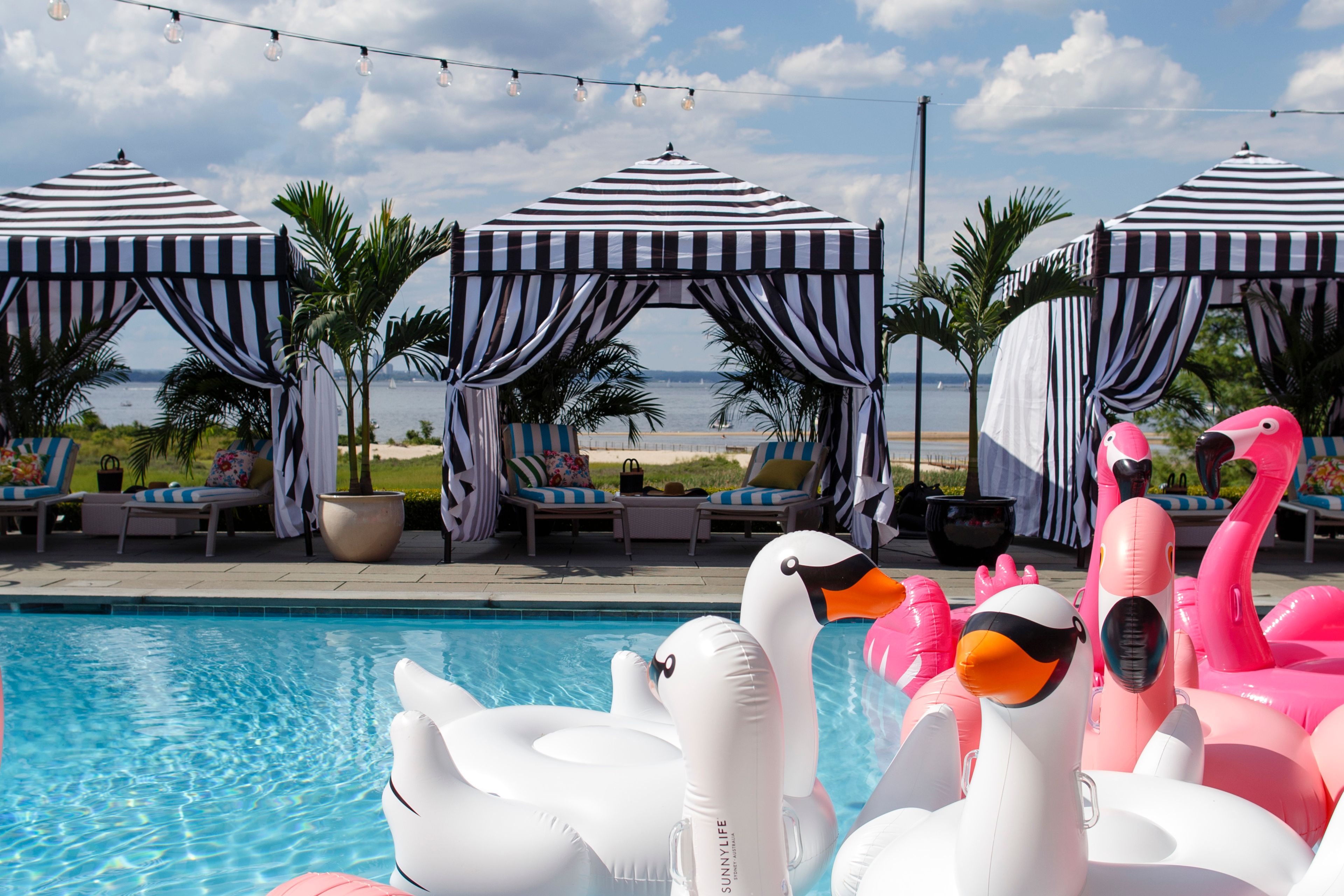 Cover photo of Cava Weddings