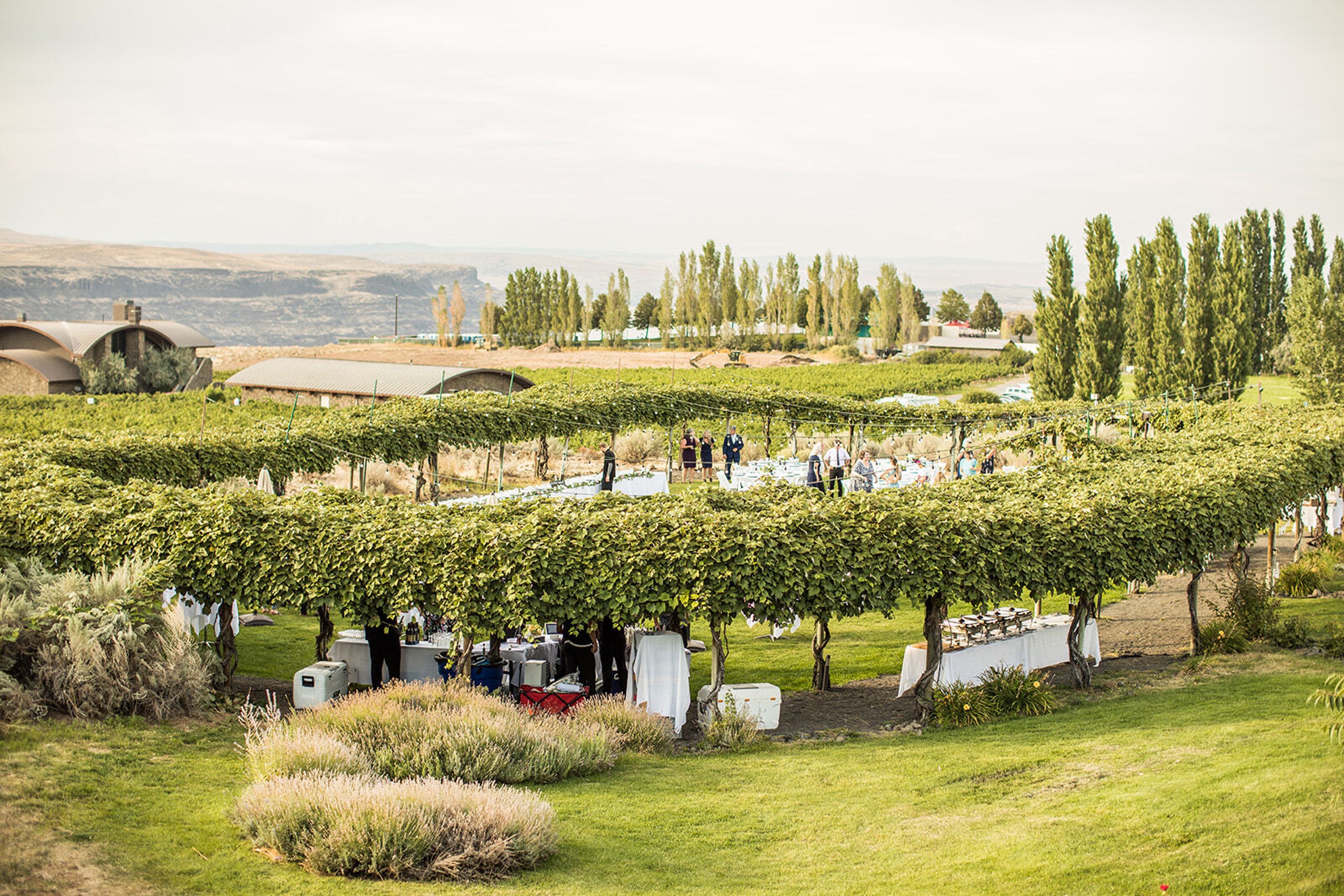 Cover photo of Wesley Evans Photography