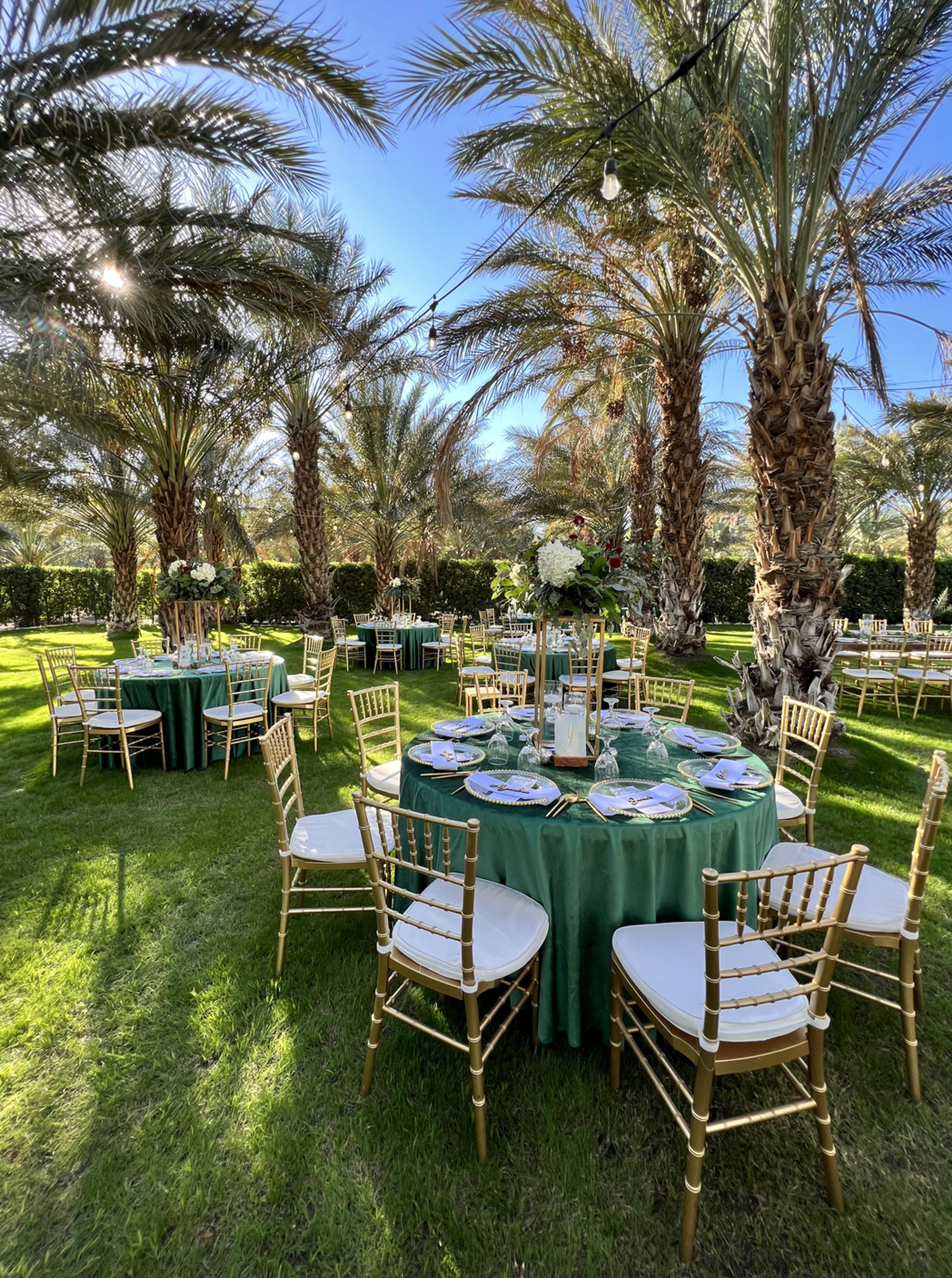 Cover photo of The Palms on 30th