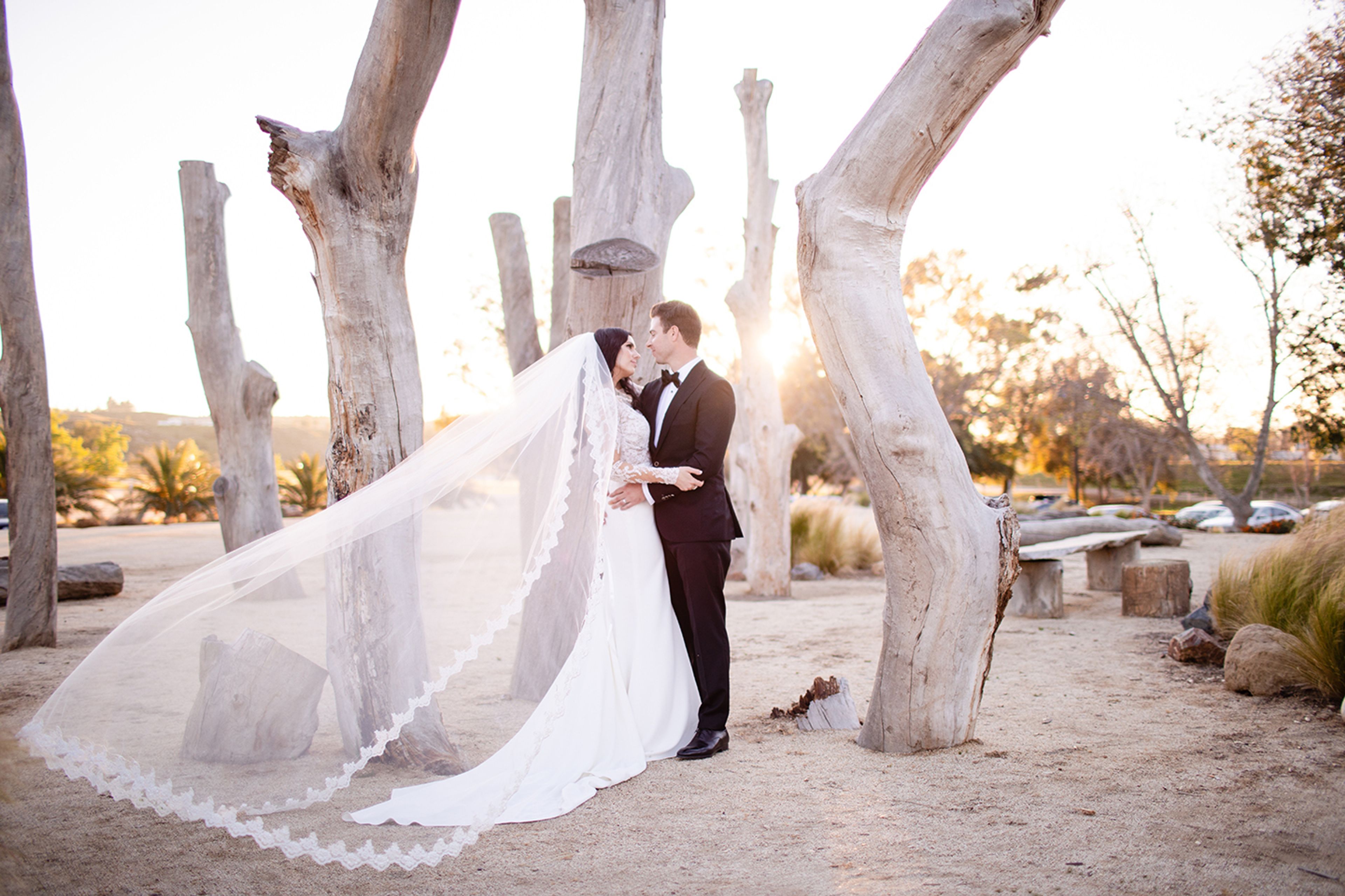 Cover photo of Shane Fellows Photography