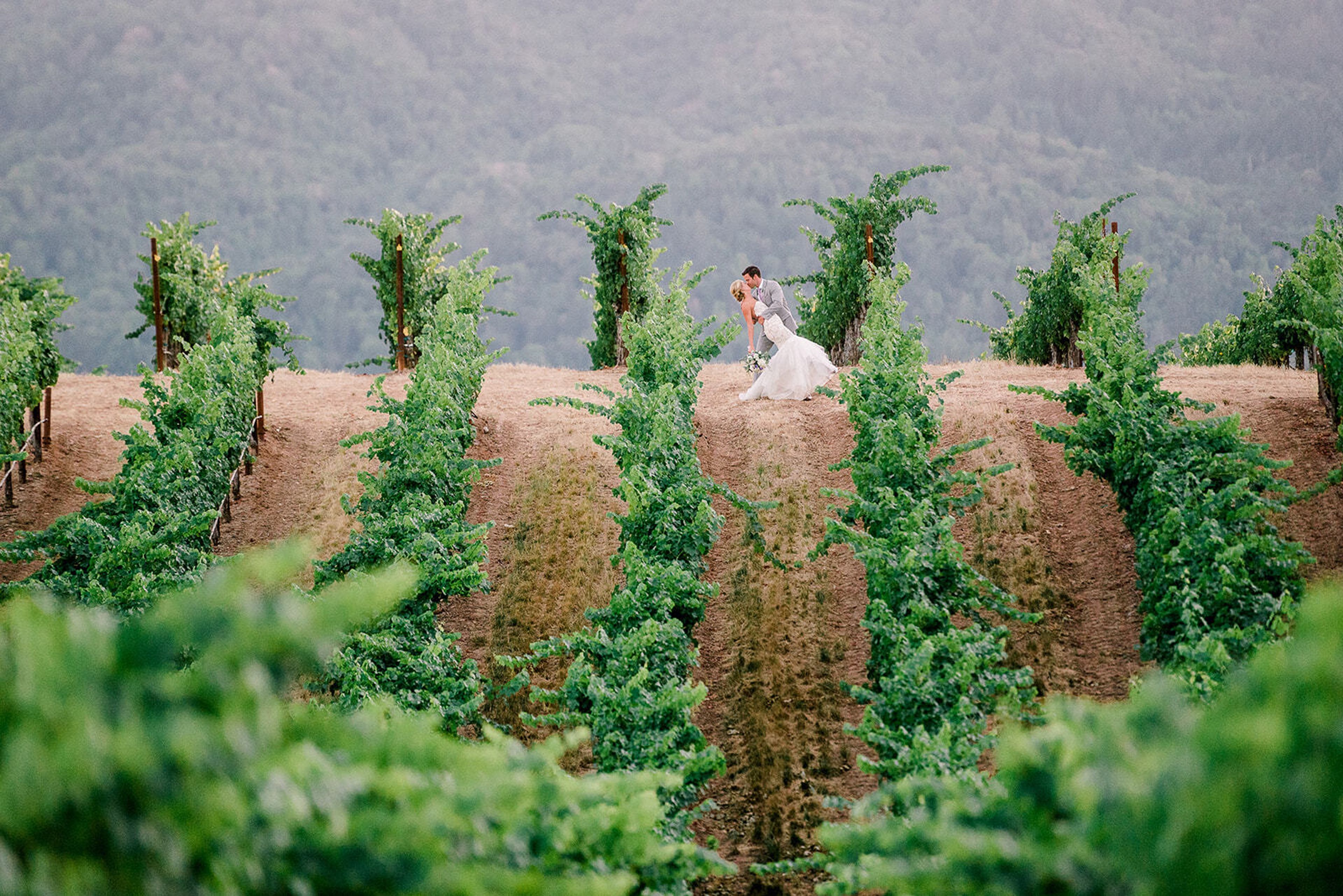 Cover photo of Denise Kramer Weddings