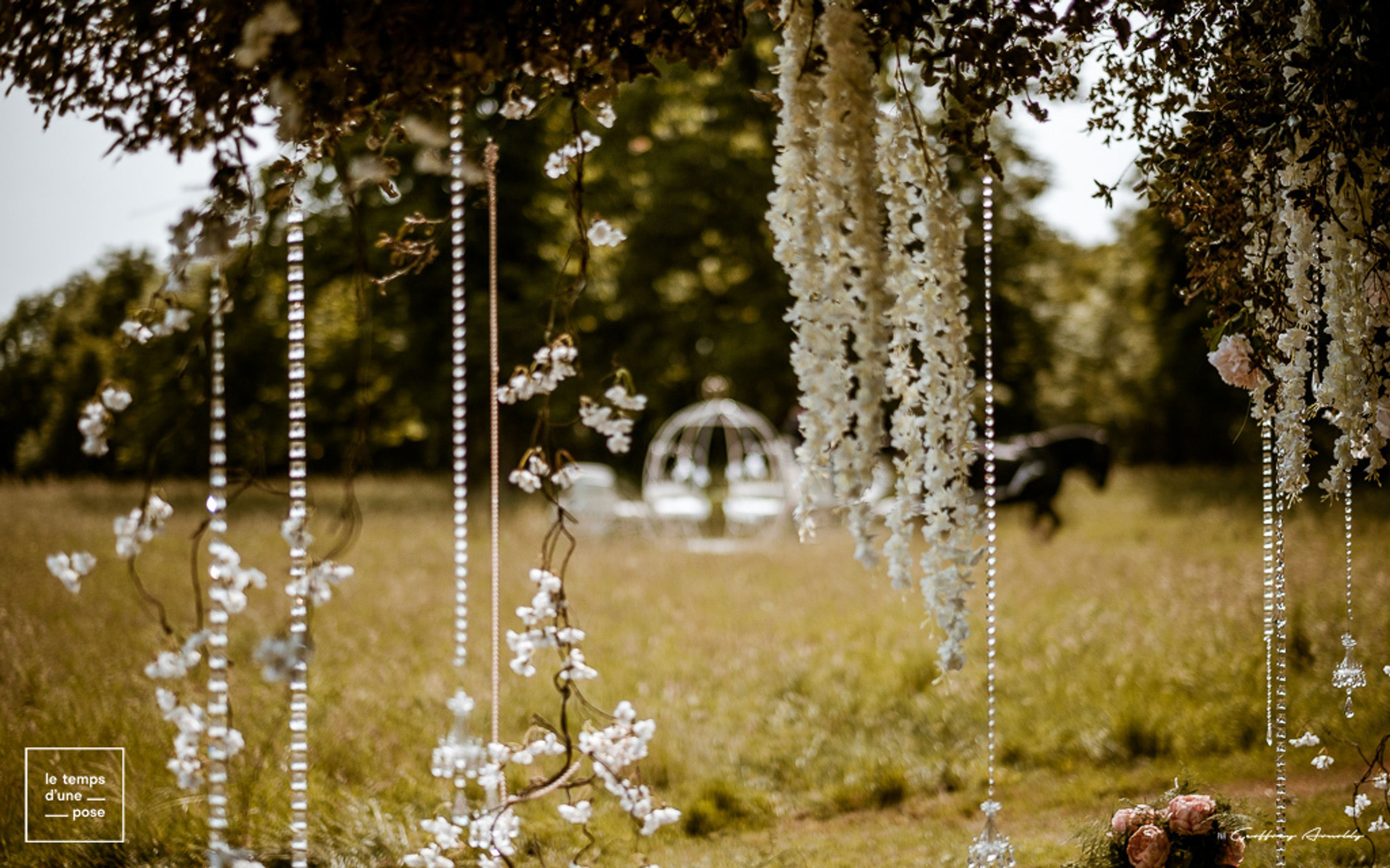 Cover photo of White Tie Planner