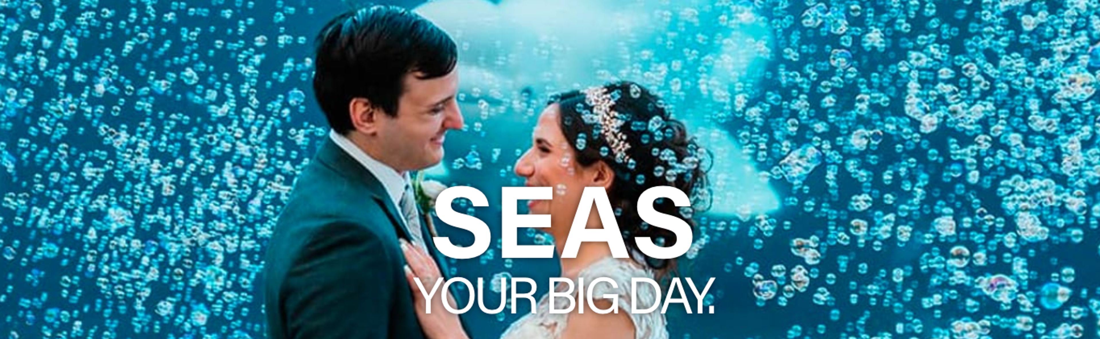 Cover photo of Mystic Aquarium