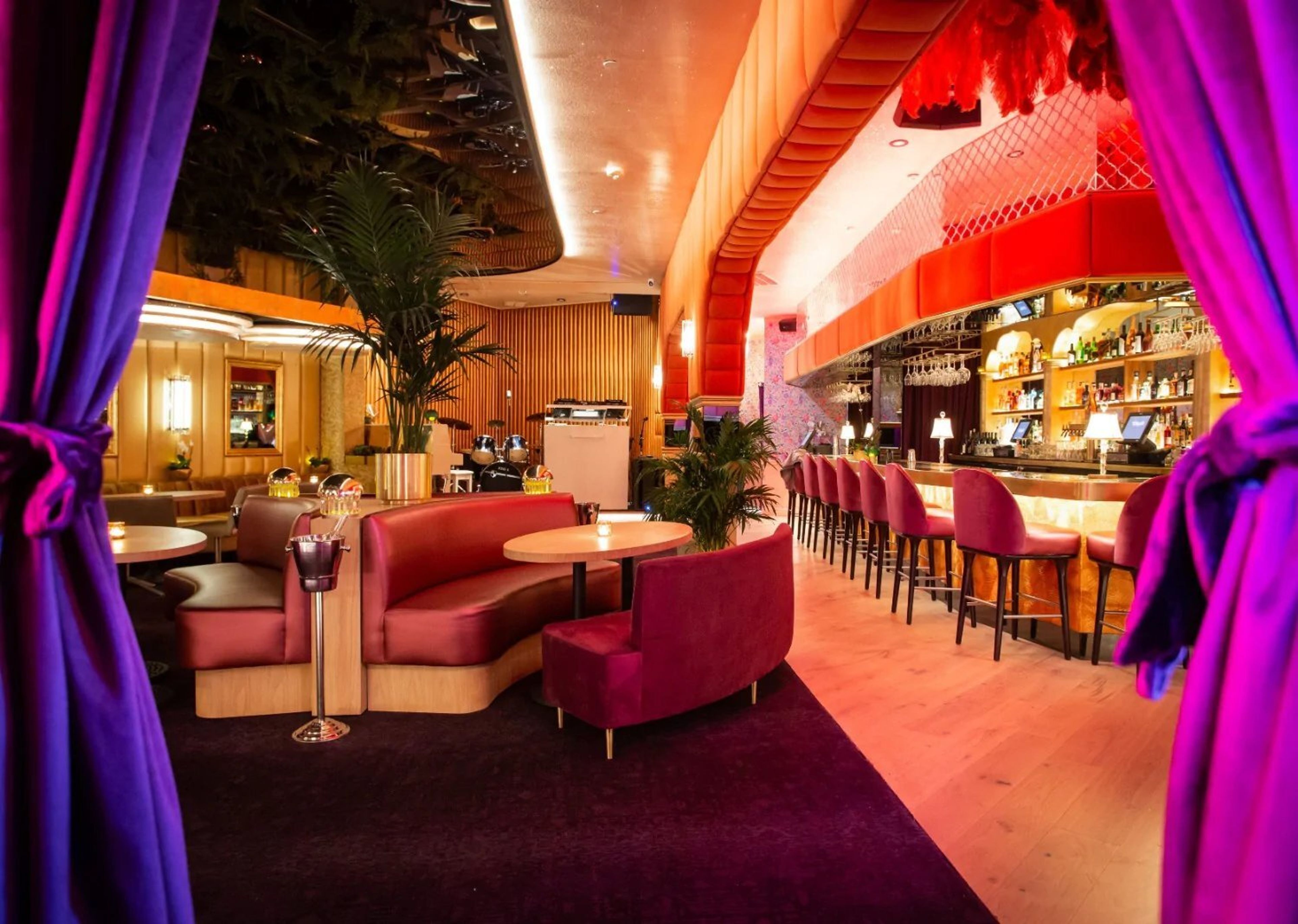 Cover photo of The Classic Cat