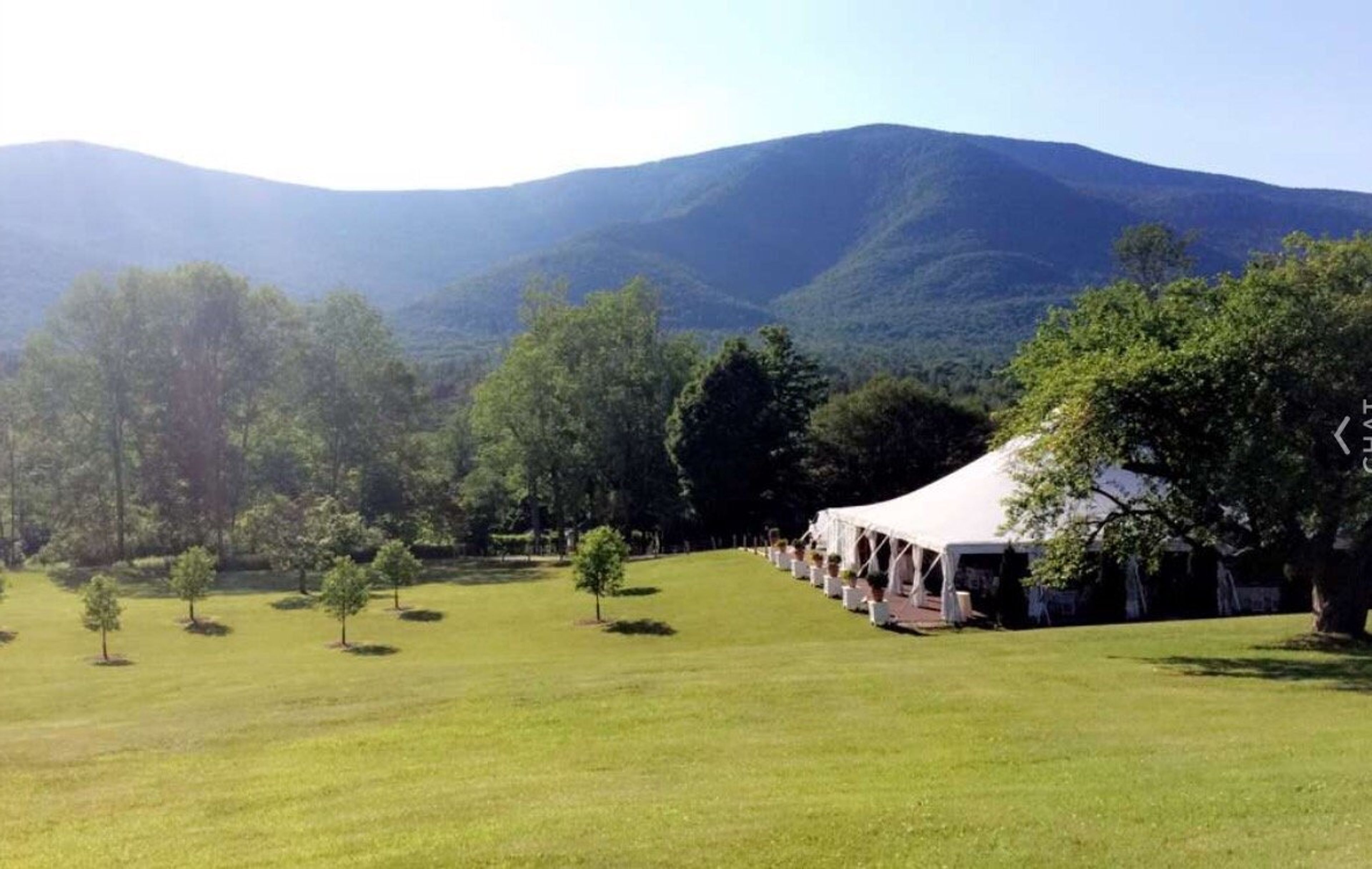 Cover photo of Marlow & Ivy Events