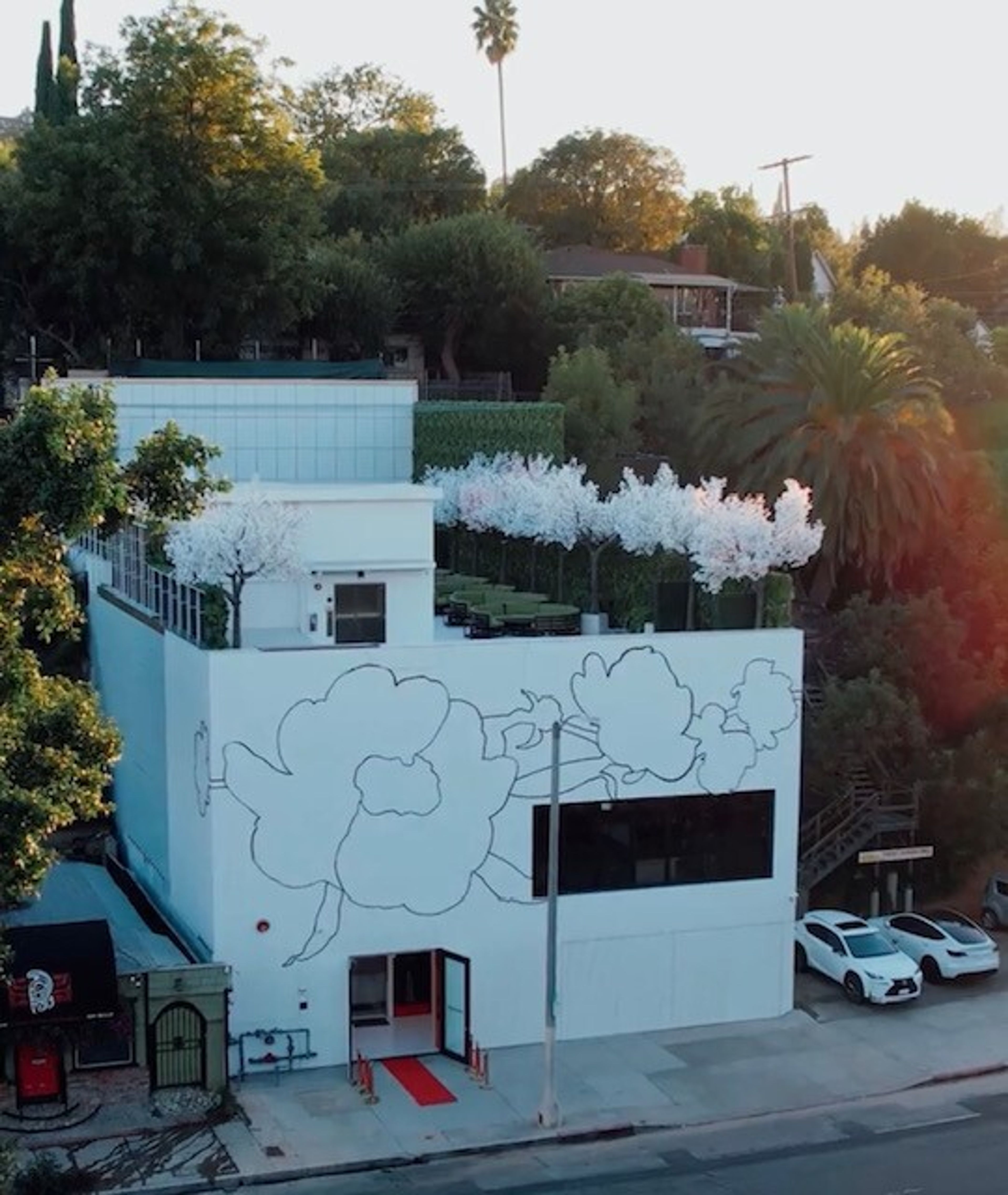 Cover photo of Blossom Restaurant and Rooftop