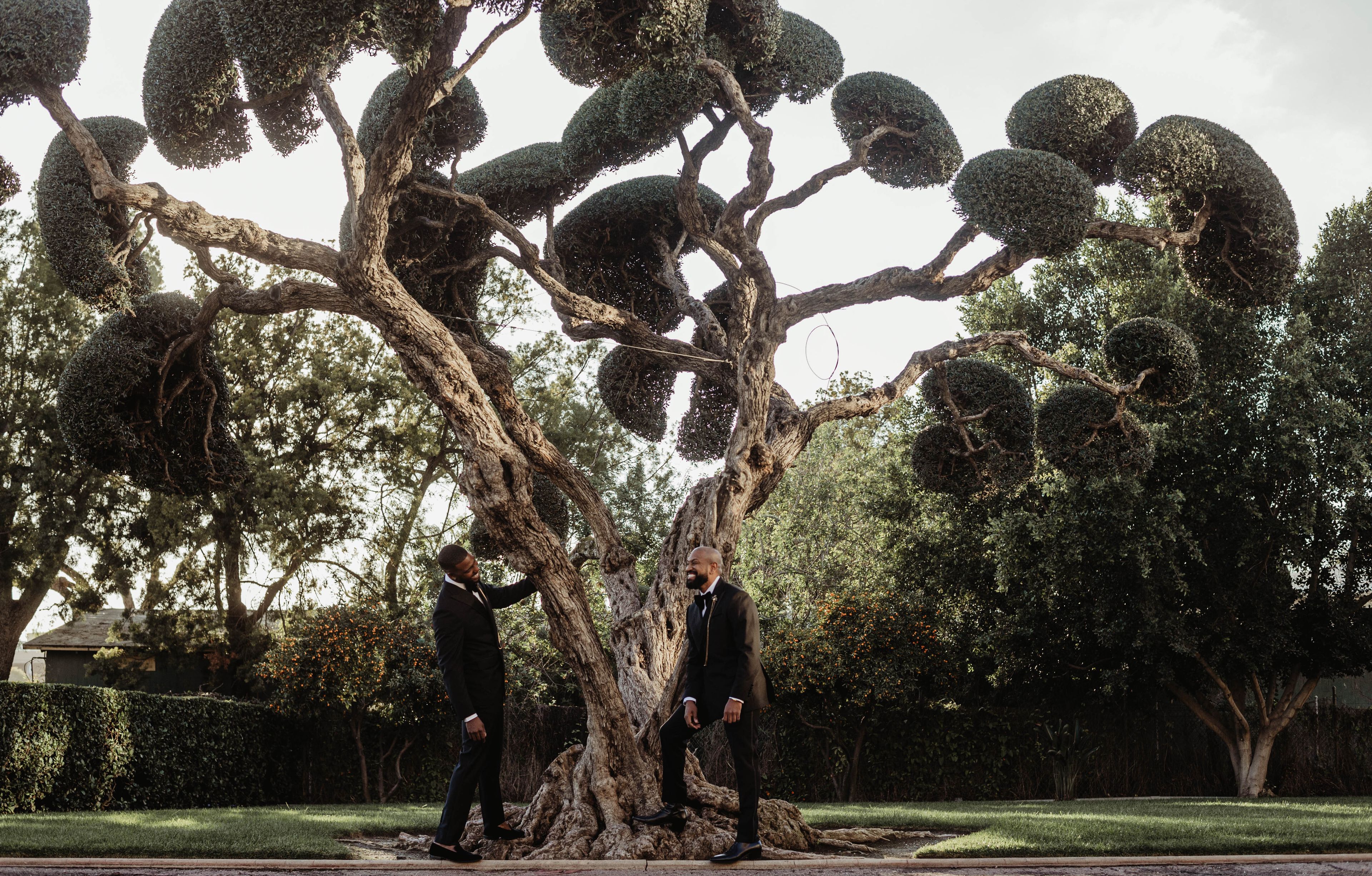 Cover photo of JCDesigns Weddings & Events