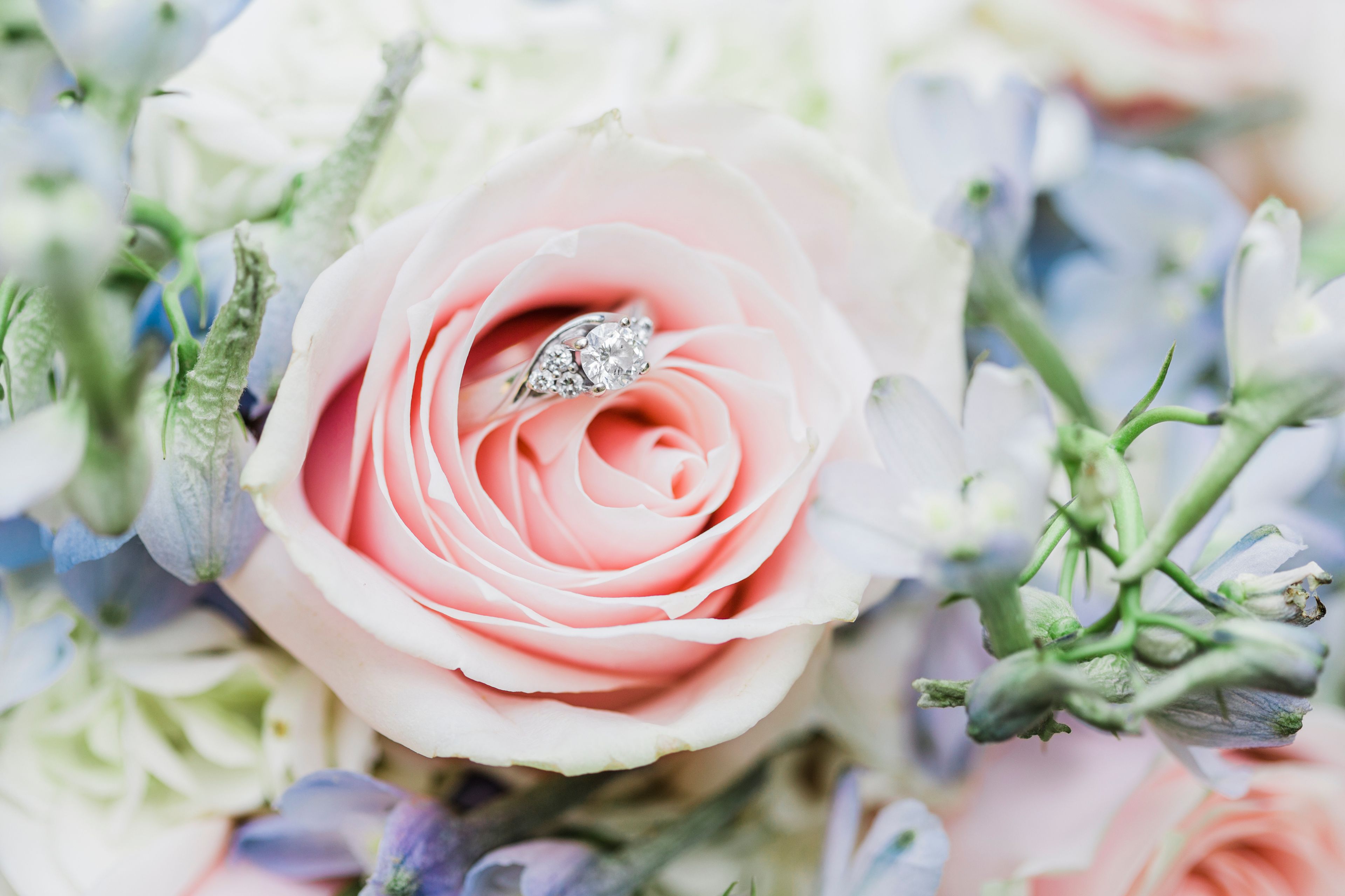 Cover photo of Melissa Wenger Photography