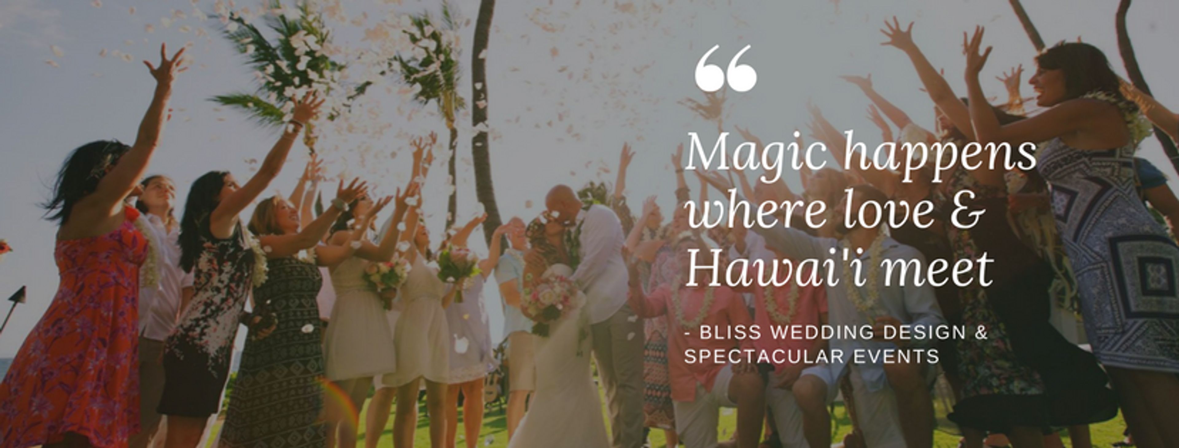 Cover photo of Bliss Wedding Design & Spectacular Events