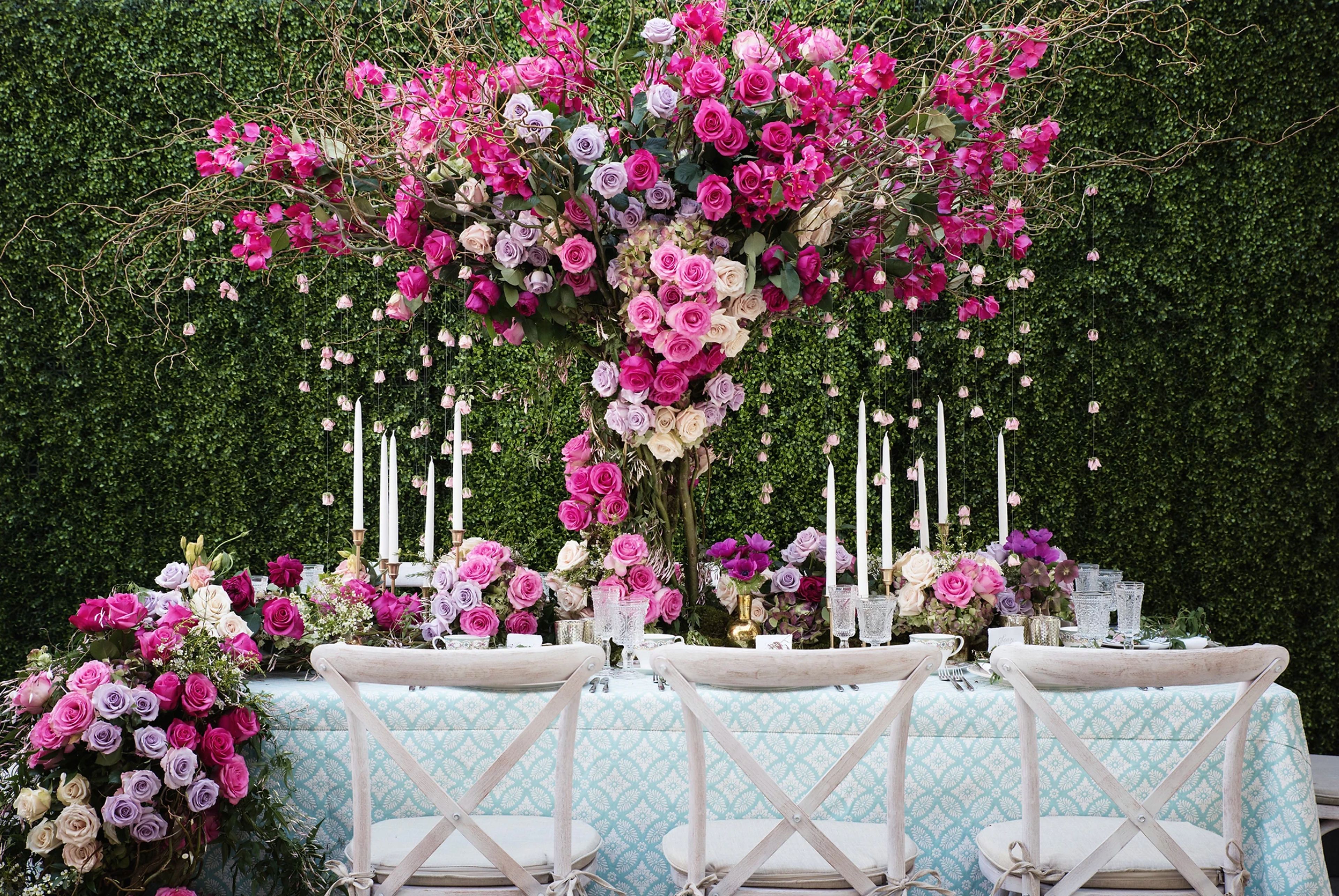 Cover photo of The Den