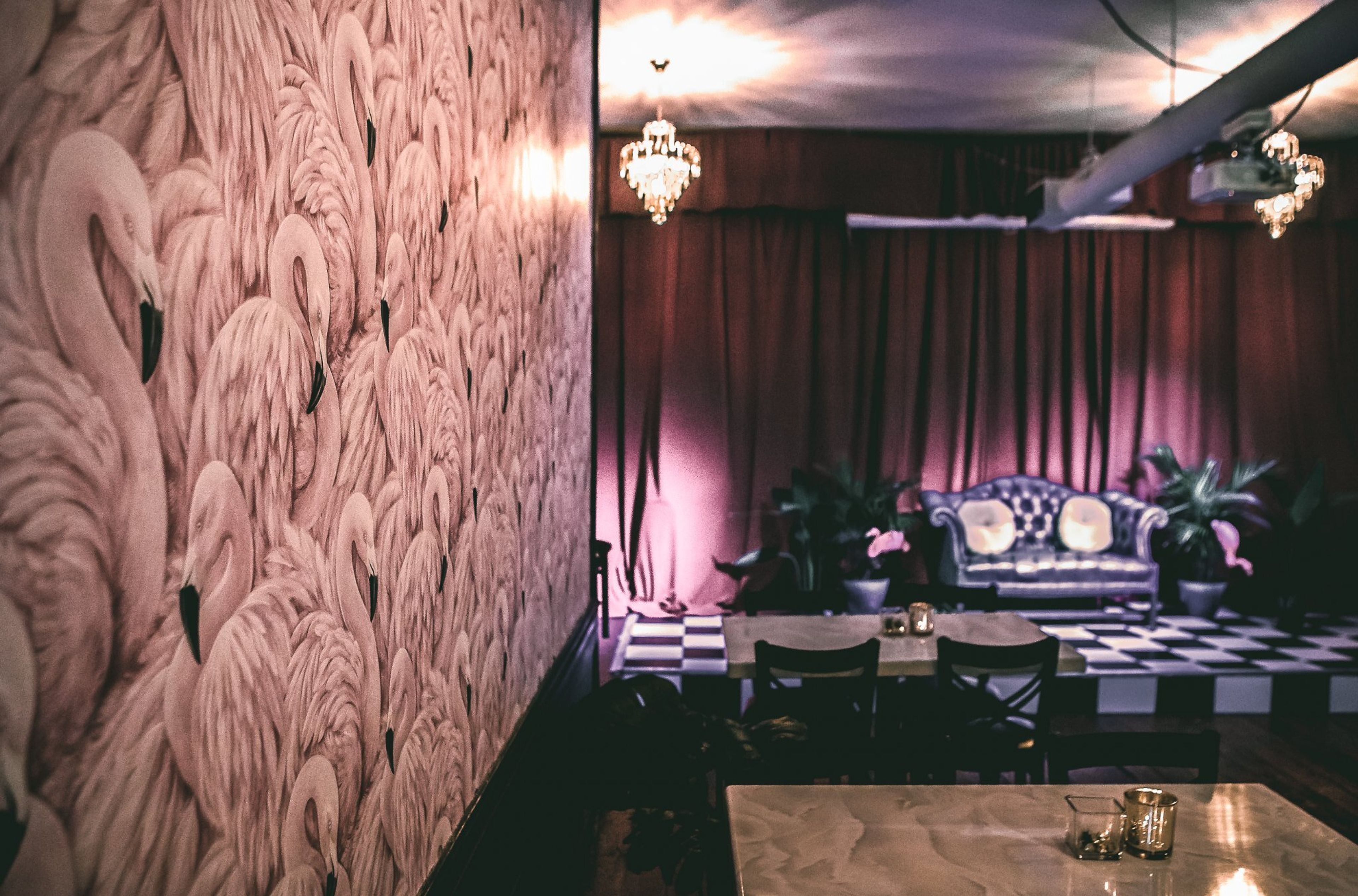 Cover photo of The Rigby