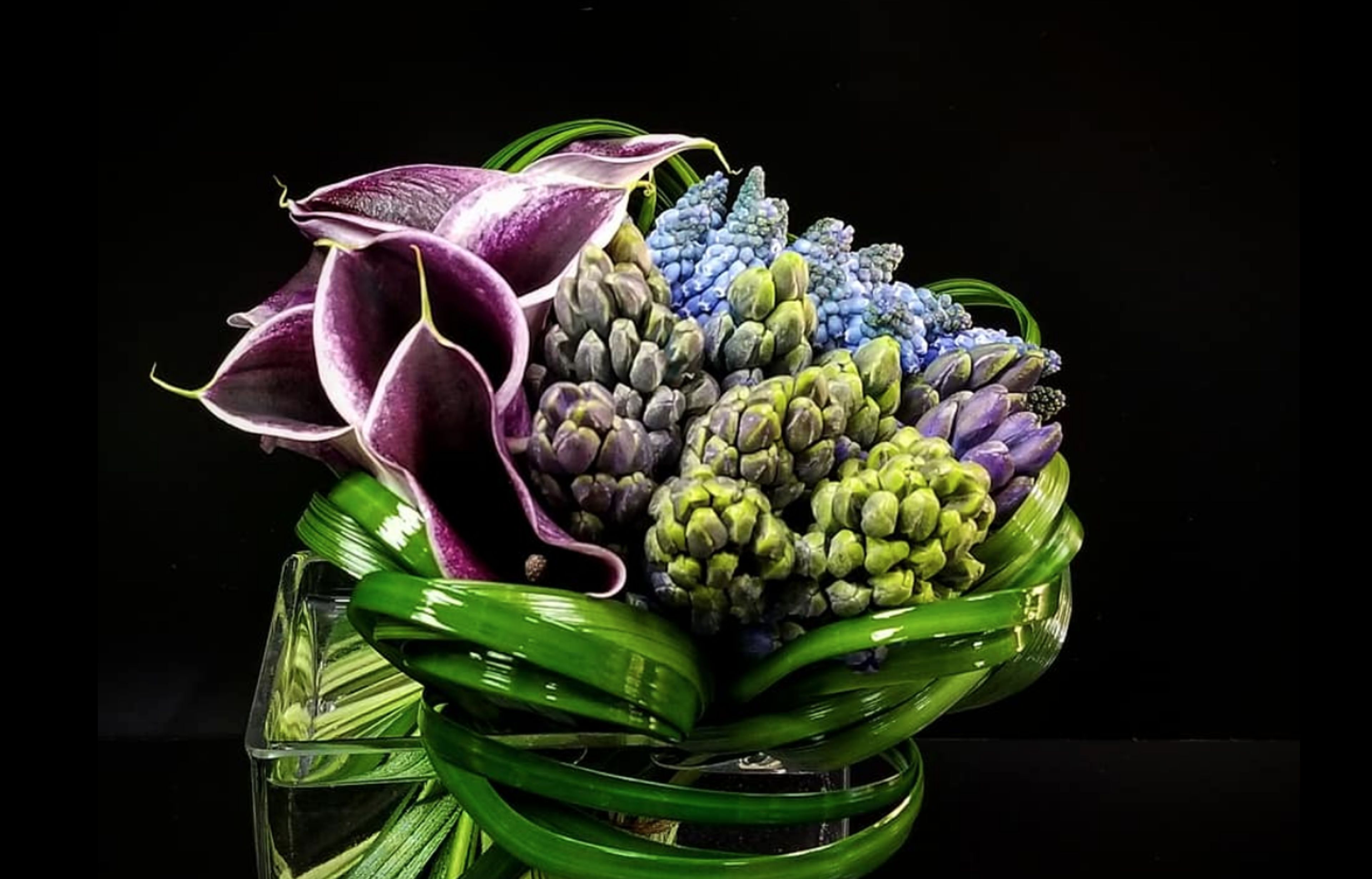 Cover photo of Stems Fleur