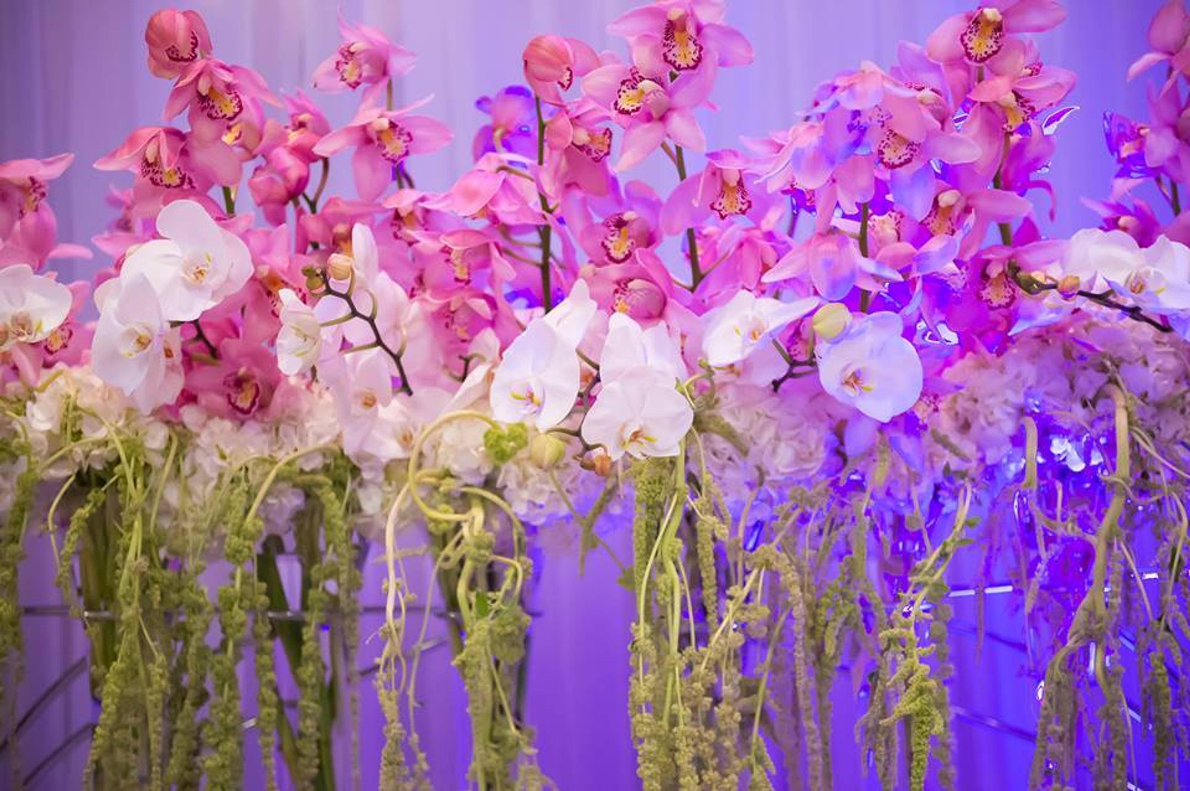 Cover photo of Magic Moments Parties and Events