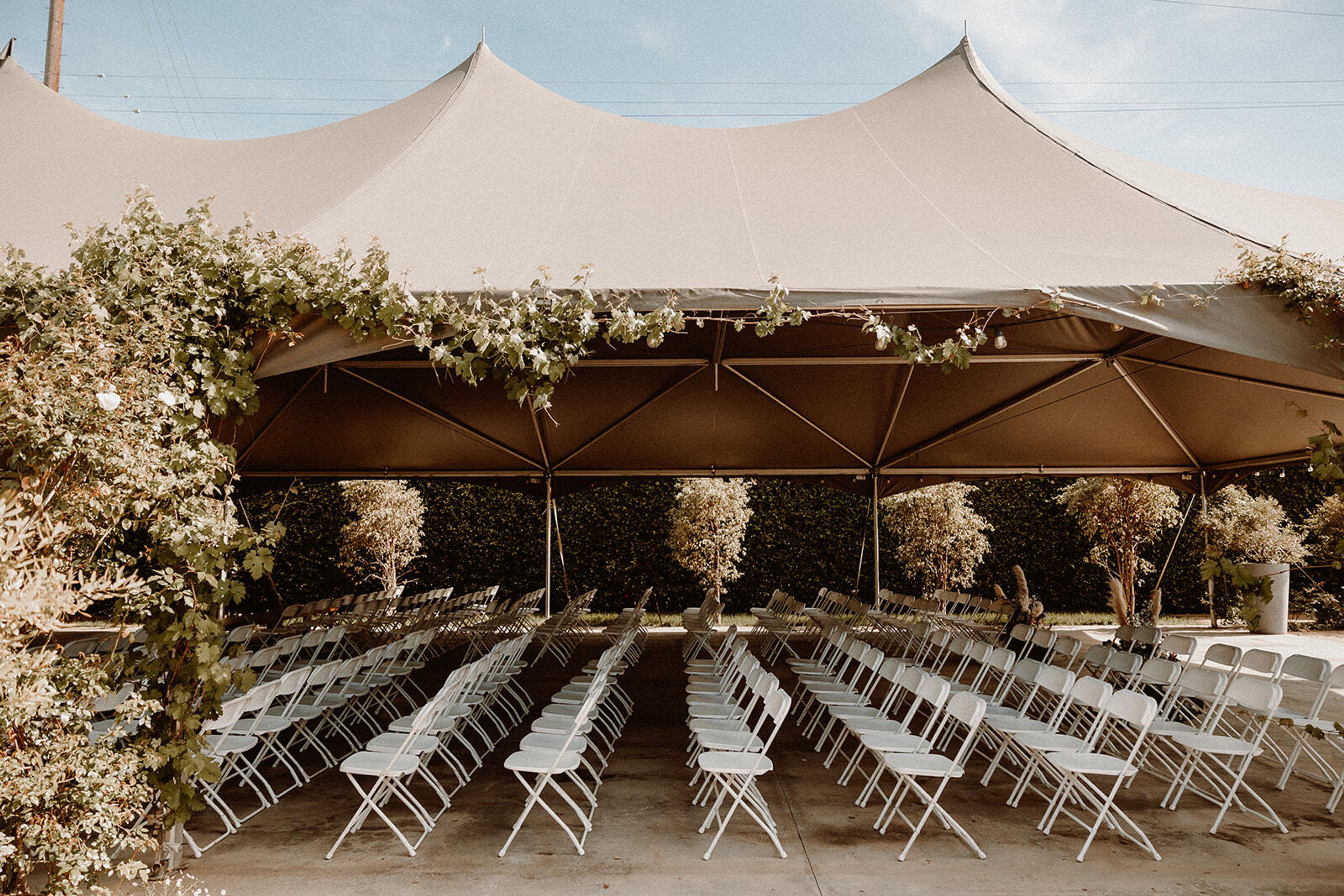 Cover photo of Rolling Greens DTLA