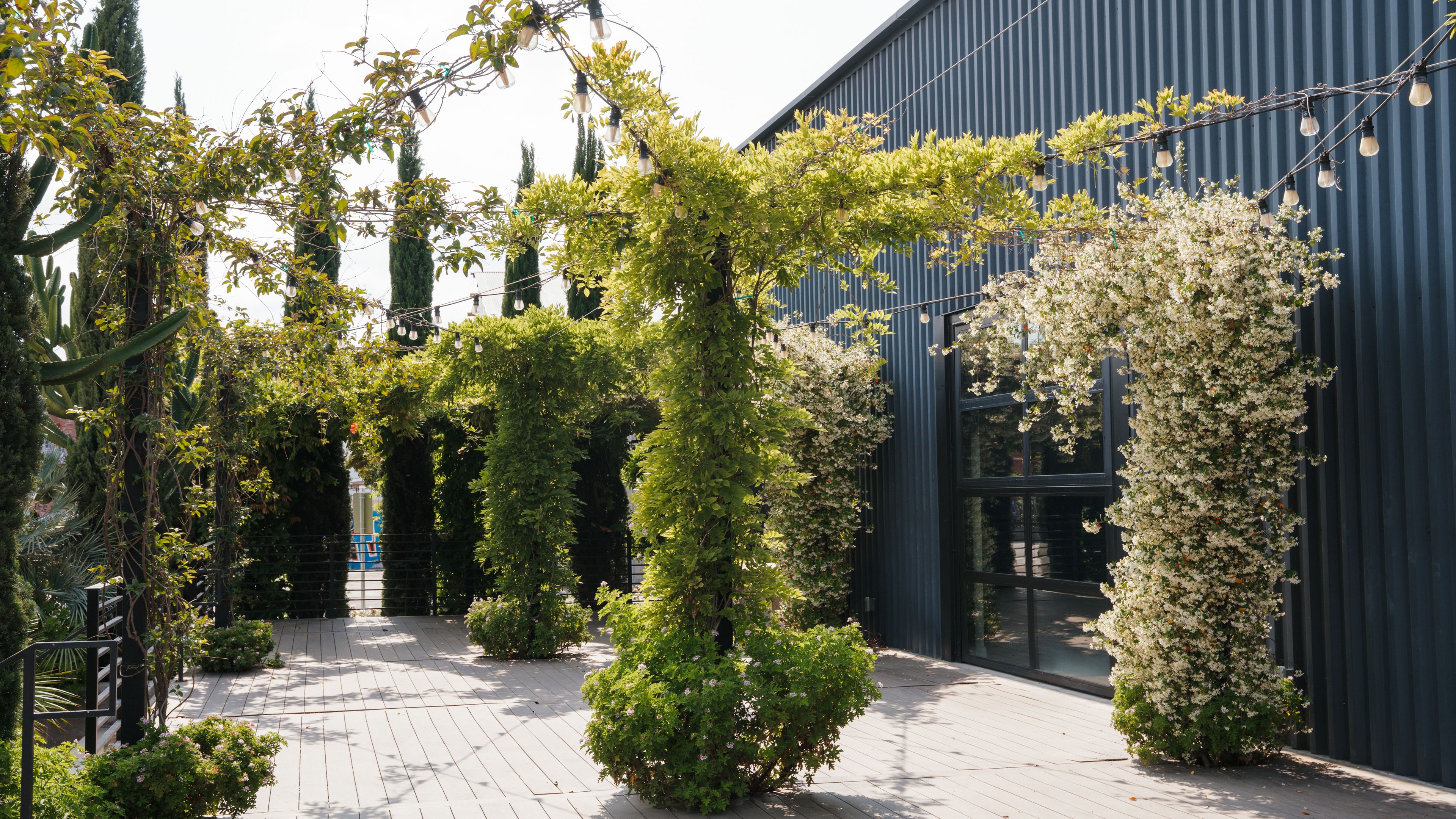 Cover photo of Rolling Greens DTLA