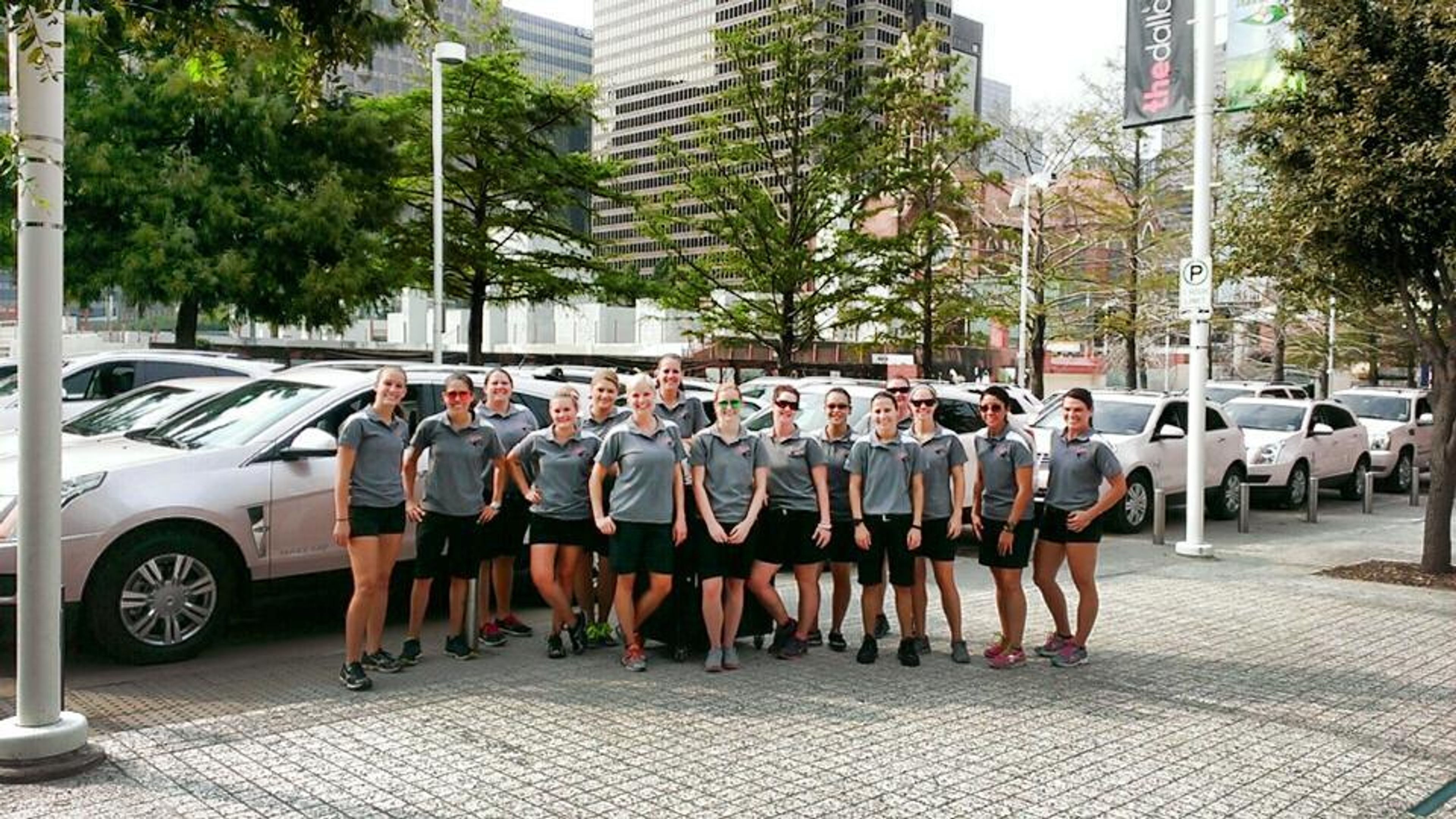 Cover photo of Pinky's Valet