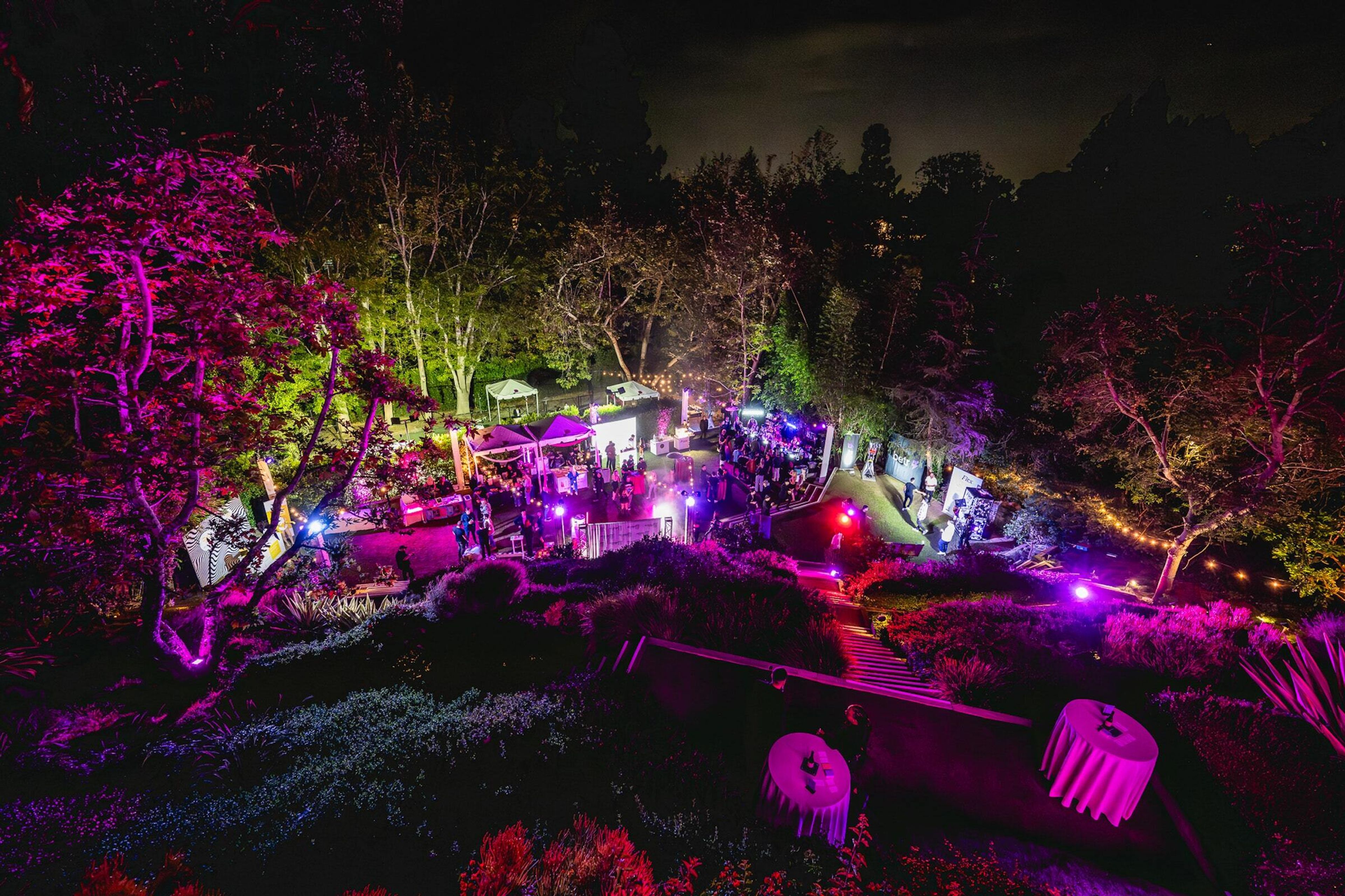 Cover photo of Yellow Bow